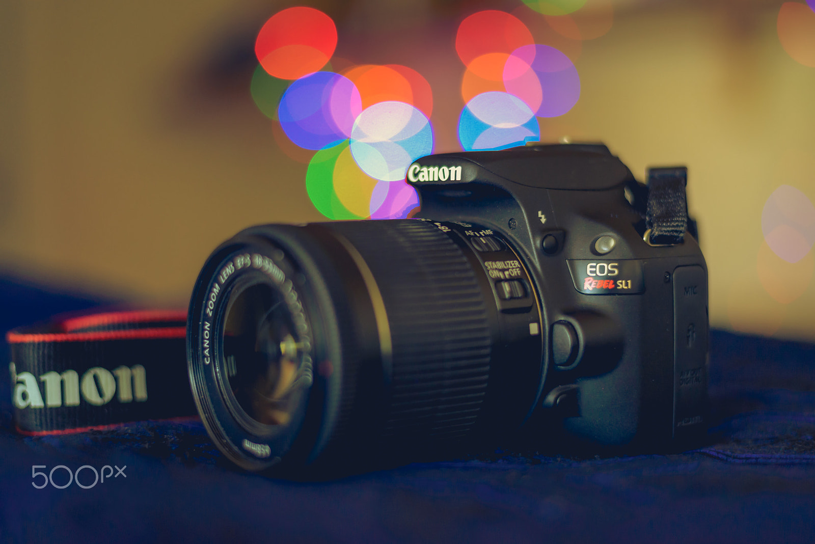 Nikon D610 + Nikon AF-S Nikkor 50mm F1.8G sample photo. Canon rebel sl1 photography
