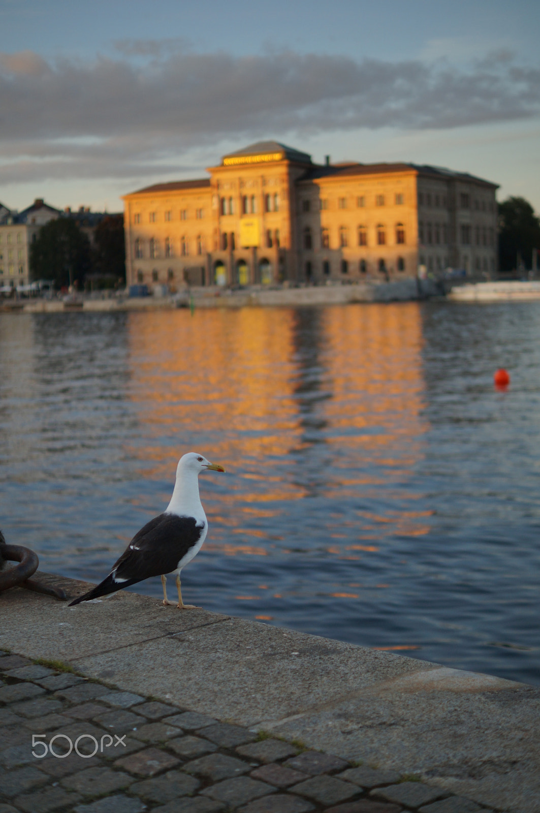 Sony SLT-A57 + Sony DT 35mm F1.8 SAM sample photo. Enjoying the view photography