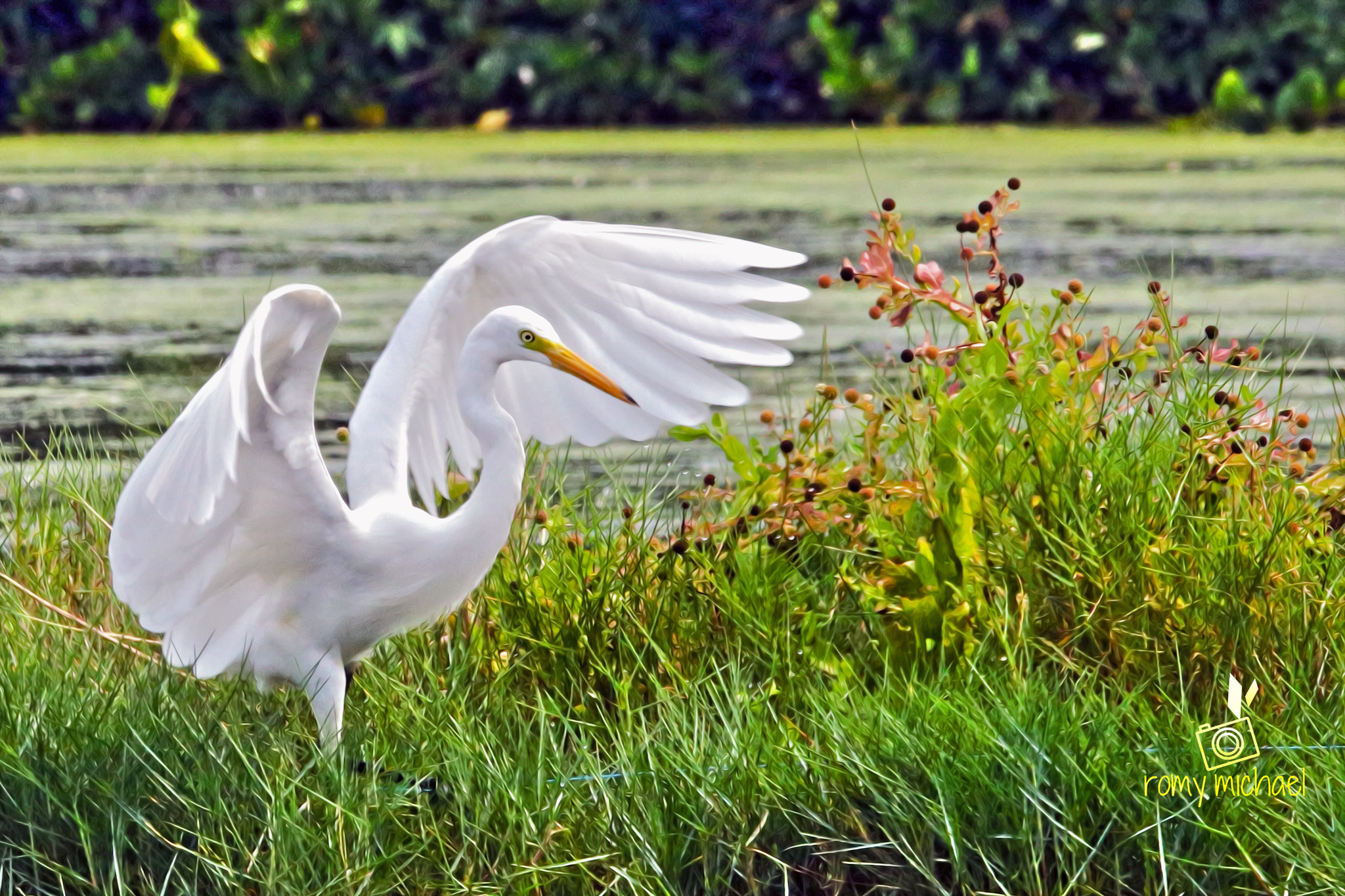 Sigma 150-500mm F5-6.3 DG OS HSM sample photo. New photography