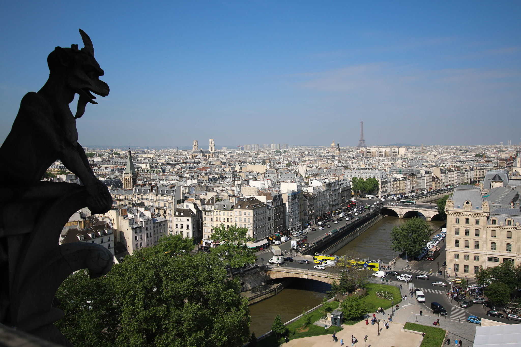 Sigma 10-20mm F3.5 EX DC HSM sample photo. A gargoyle's perspective photography