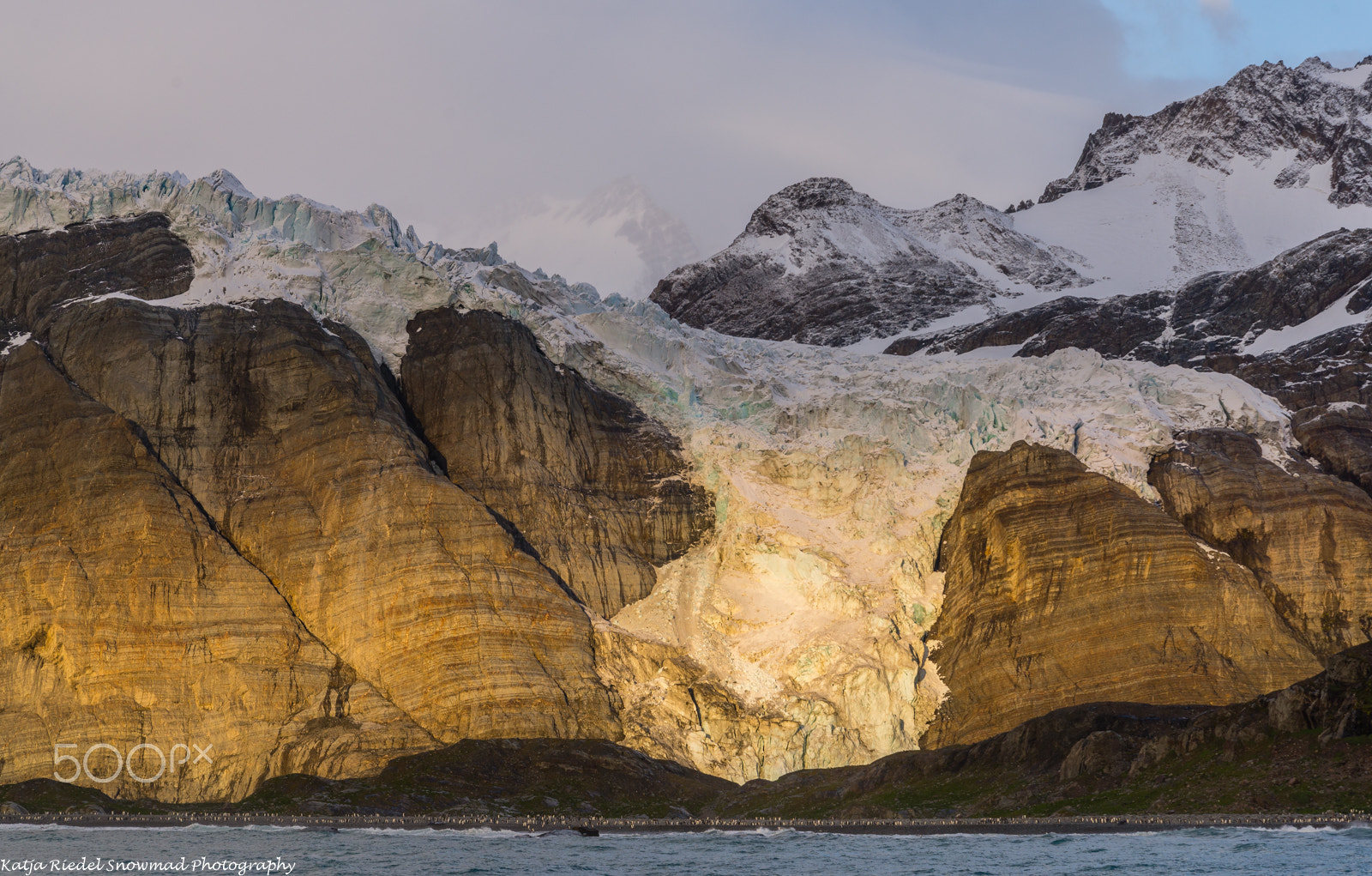 Nikon D600 sample photo. Gold harbour at sunrise, south georgia photography