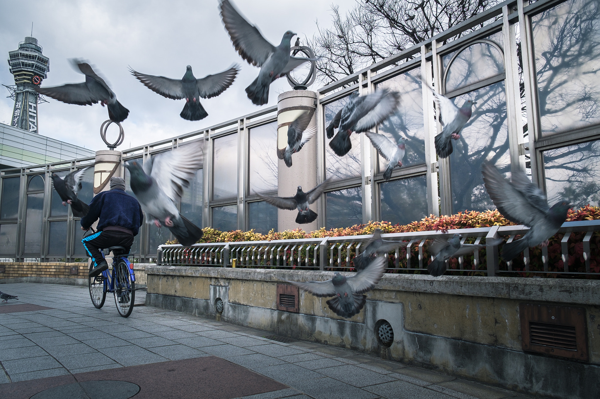 Fujifilm X-Pro1 + Fujifilm XF 18-55mm F2.8-4 R LM OIS sample photo