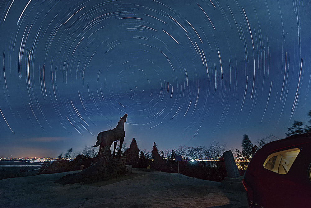 Nikon D800E + Sigma 12-24mm F4.5-5.6 EX DG Aspherical HSM sample photo. Horses neigh photography