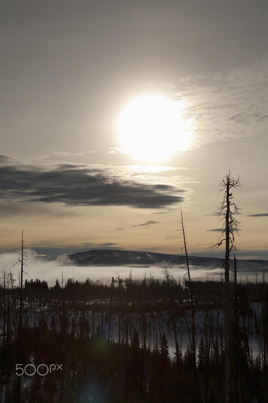 Canon EOS 5D + Canon EF 24-105mm F4L IS USM sample photo. Winter, yellowstone lake, yellowstone np photography