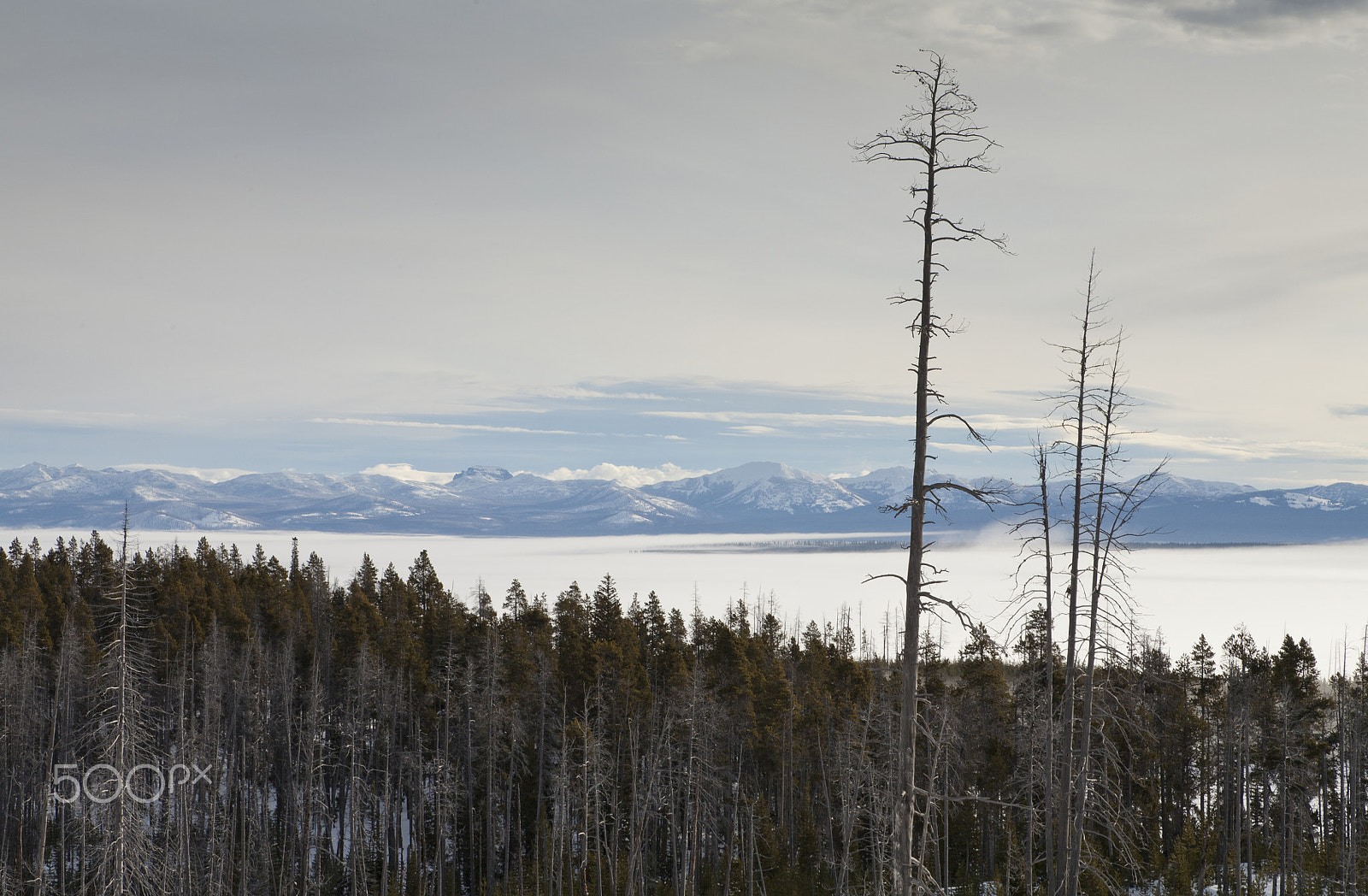 Canon EOS 5D + Canon EF 24-105mm F4L IS USM sample photo. Winter, yellowstone lake, yellowstone np photography