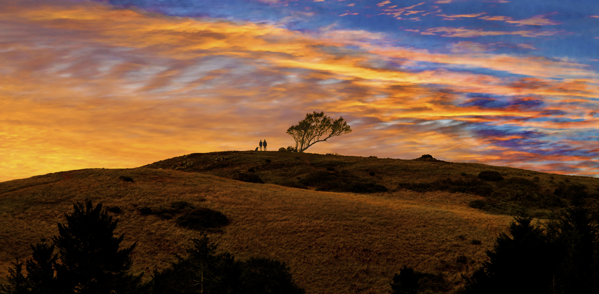 Nikon D800E sample photo. Couple on a hill photography