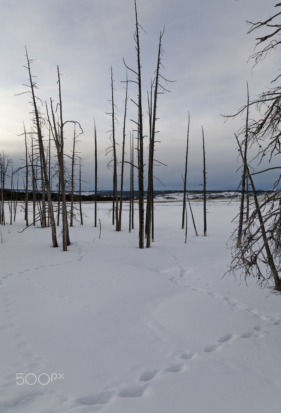 Canon EOS 5D + Canon EF 24-105mm F4L IS USM sample photo. Fountain paint pots area, winter, yellowstone np photography