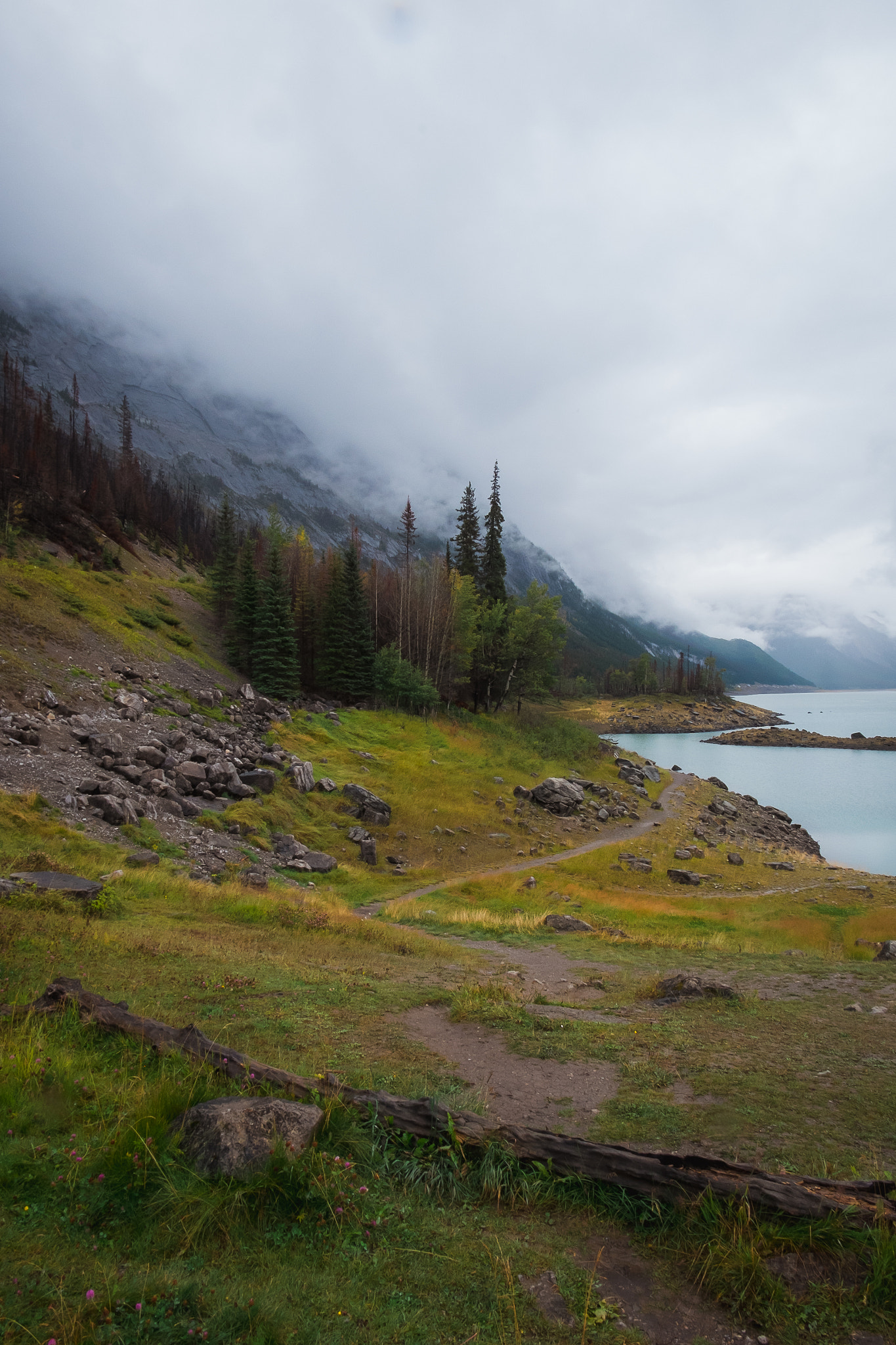 Fujifilm XC 16-50mm F3.5-5.6 OIS sample photo. Moody mornings at medicine lake. photography