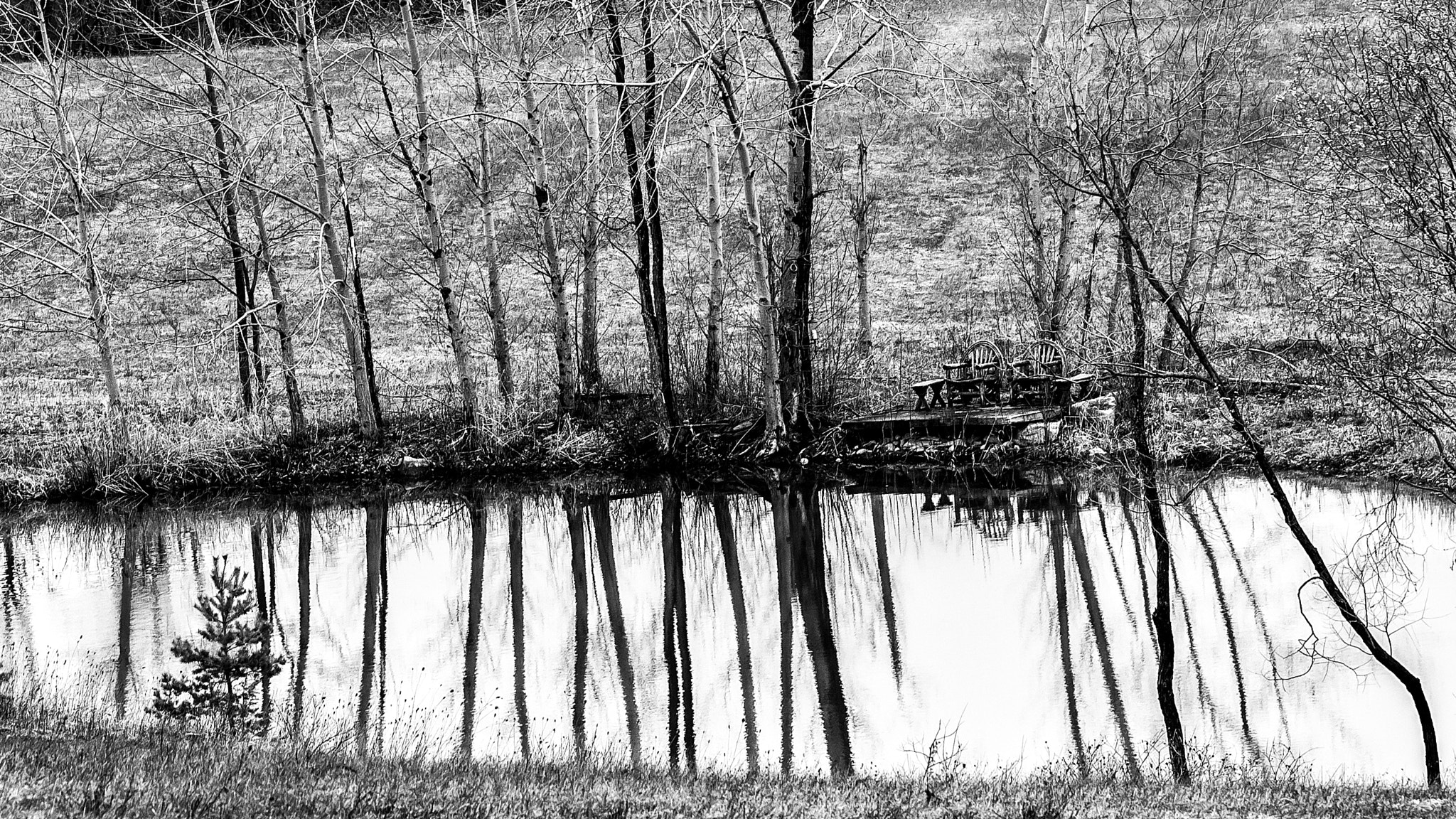 Canon EF 70-200mm F2.8L IS II USM sample photo. Lines in the pond photography