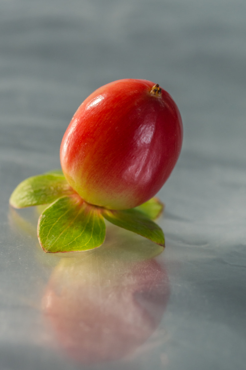 Sony 100mm F2.8 Macro sample photo. Red means beautiful photography