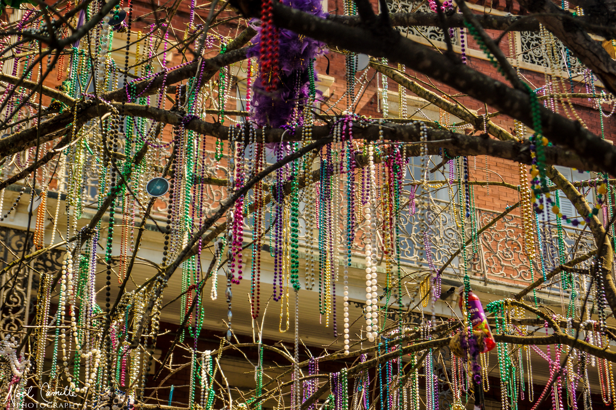 Sony SLT-A65 (SLT-A65V) sample photo. Beads in tree photography