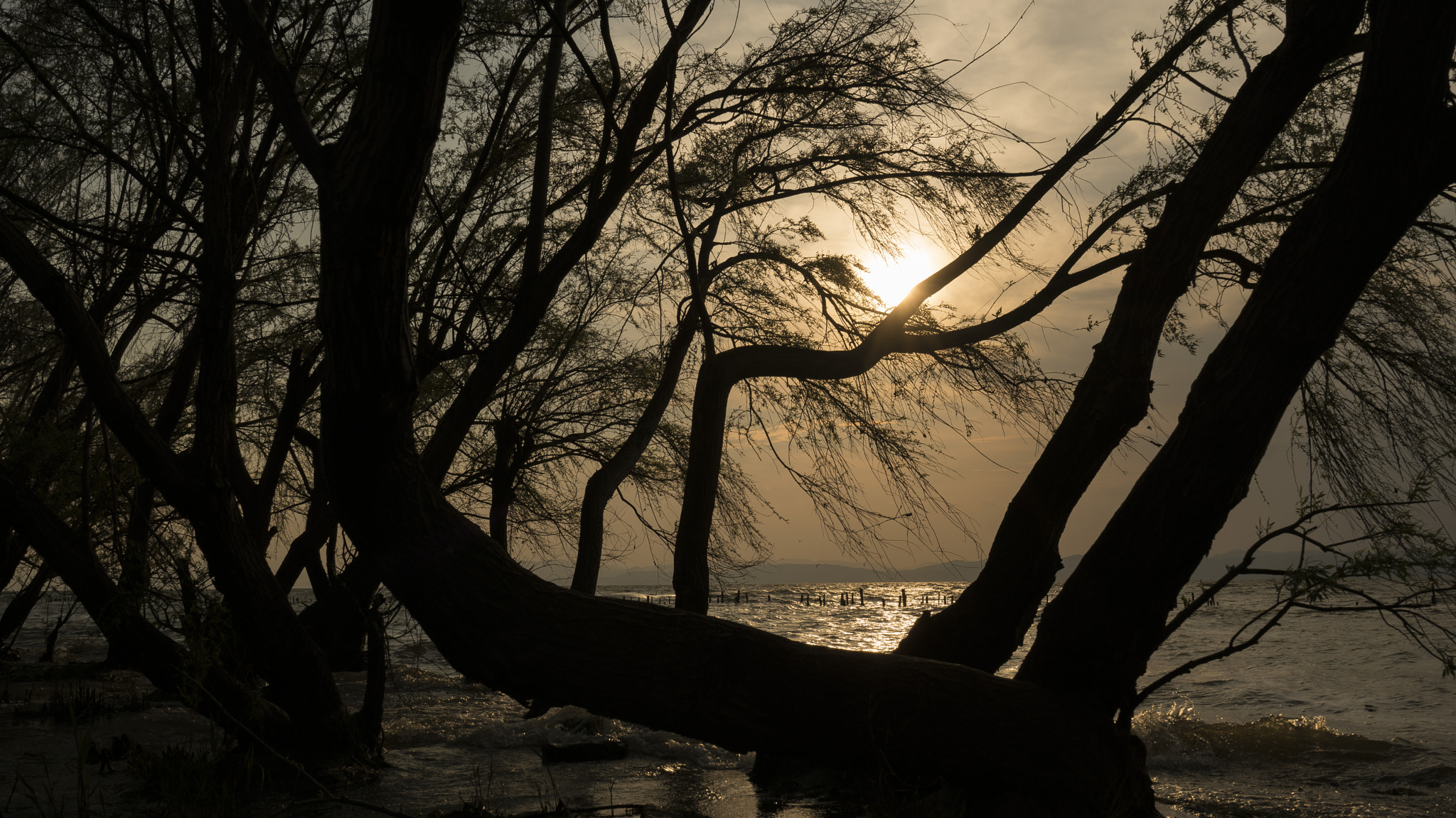 Sony a7R II + Sony Vario-Tessar T* FE 16-35mm F4 ZA OSS sample photo. Sunset photography
