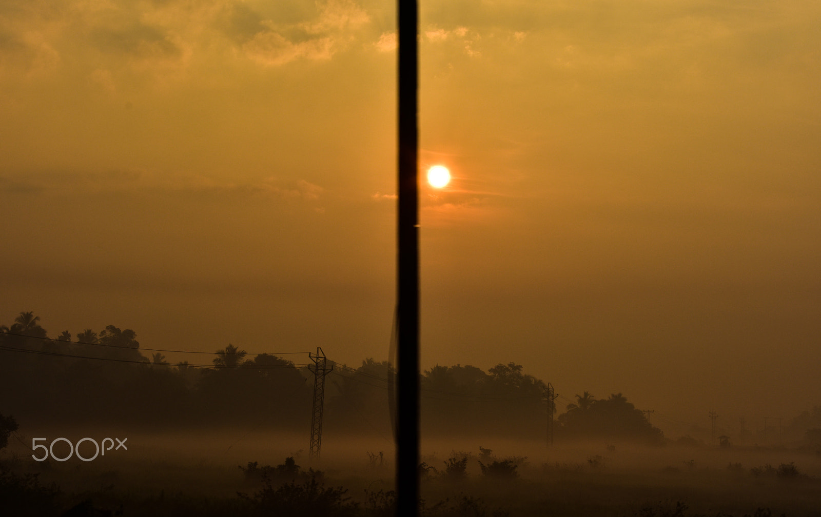 Nikon D3400 sample photo. Golden sun rising photography