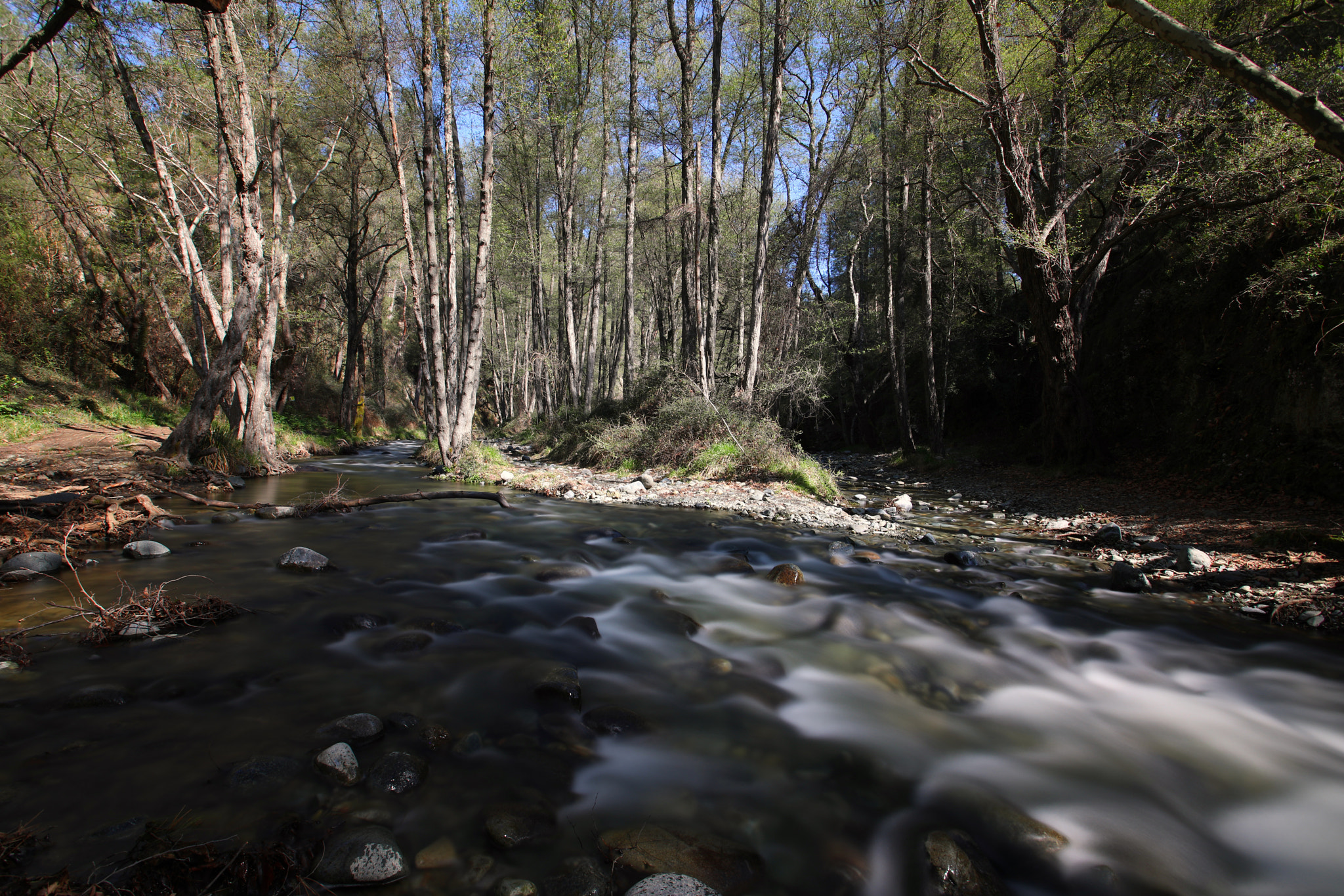 Canon EF 17-40mm F4L USM sample photo. Nature’s peace photography