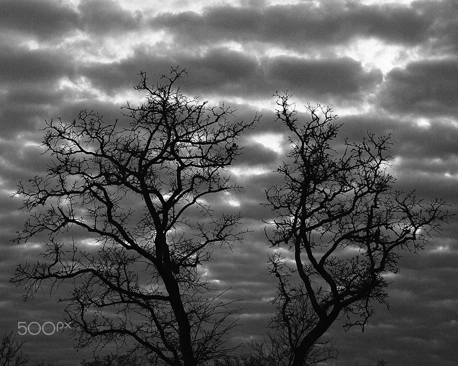 Canon EF-S 17-85mm F4-5.6 IS USM sample photo. Winter at dusk photography