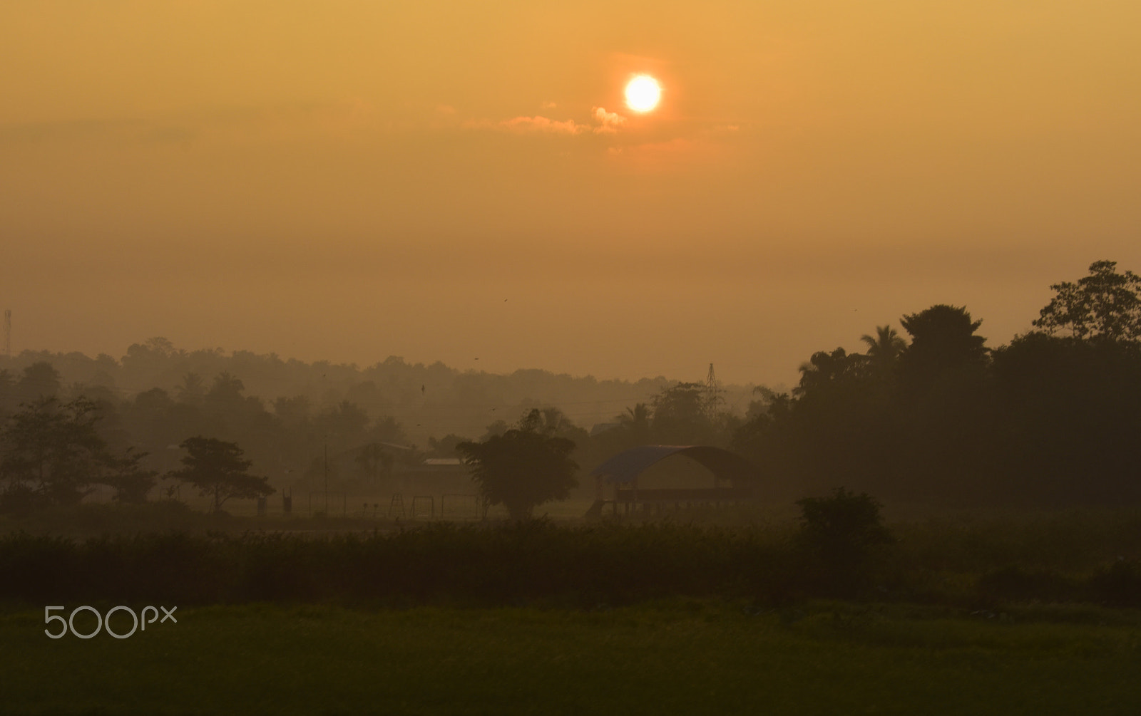 Nikon D3400 sample photo. Sun is on its way photography