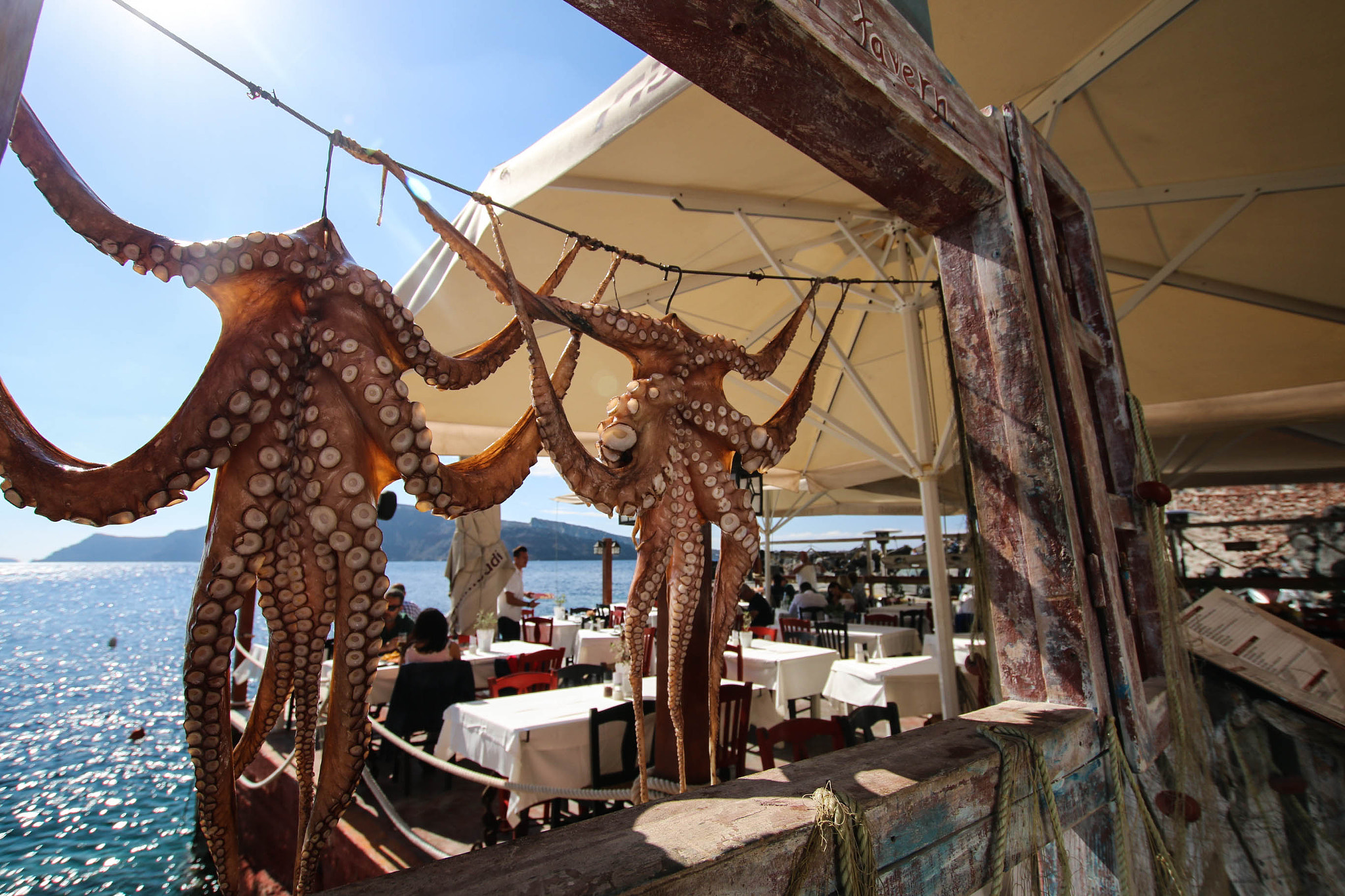 Canon EOS 70D + Sigma 10-20mm F3.5 EX DC HSM sample photo. Sun-dried octopus photography