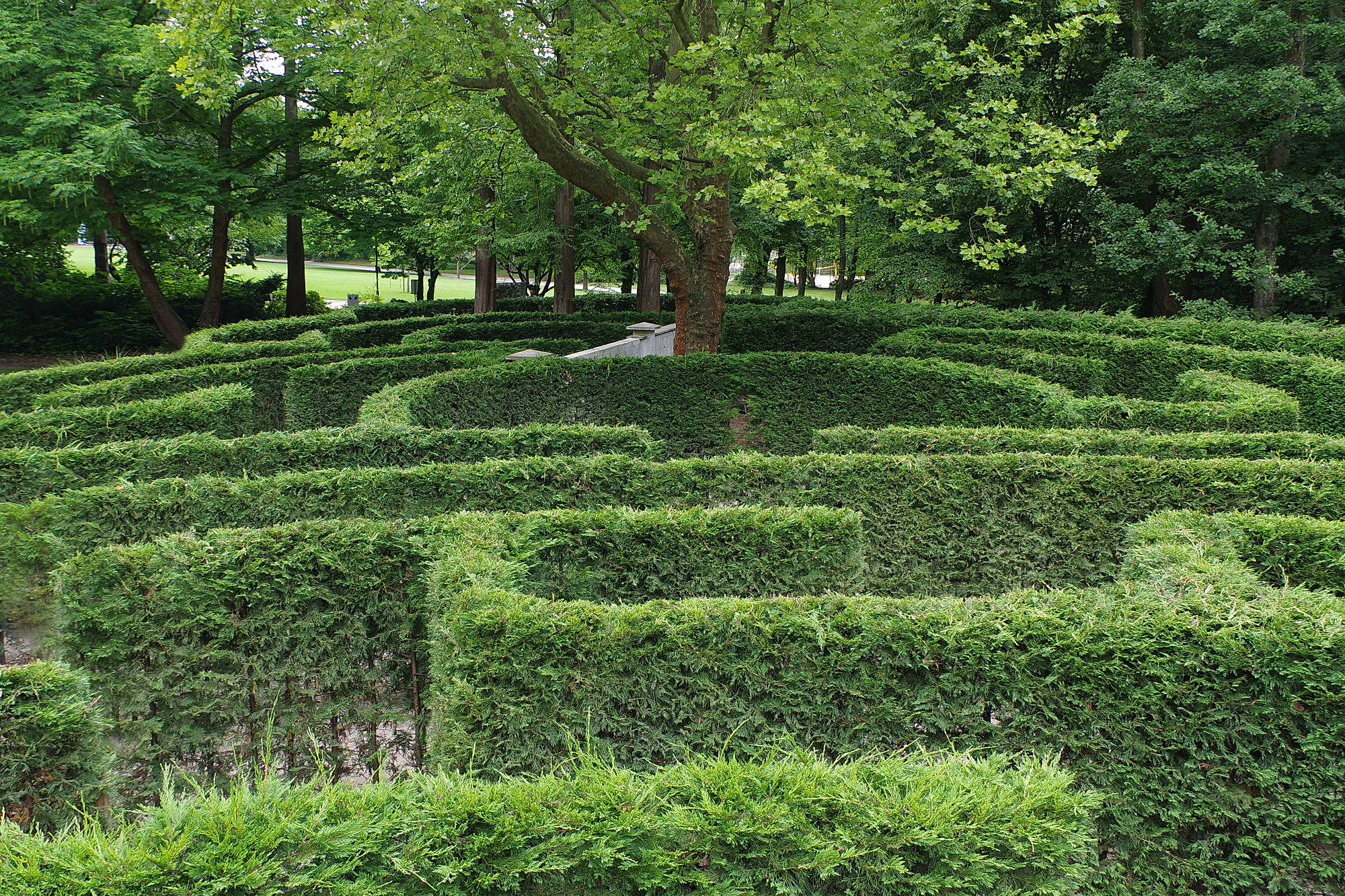 Pentax K-3 sample photo. The maze photography