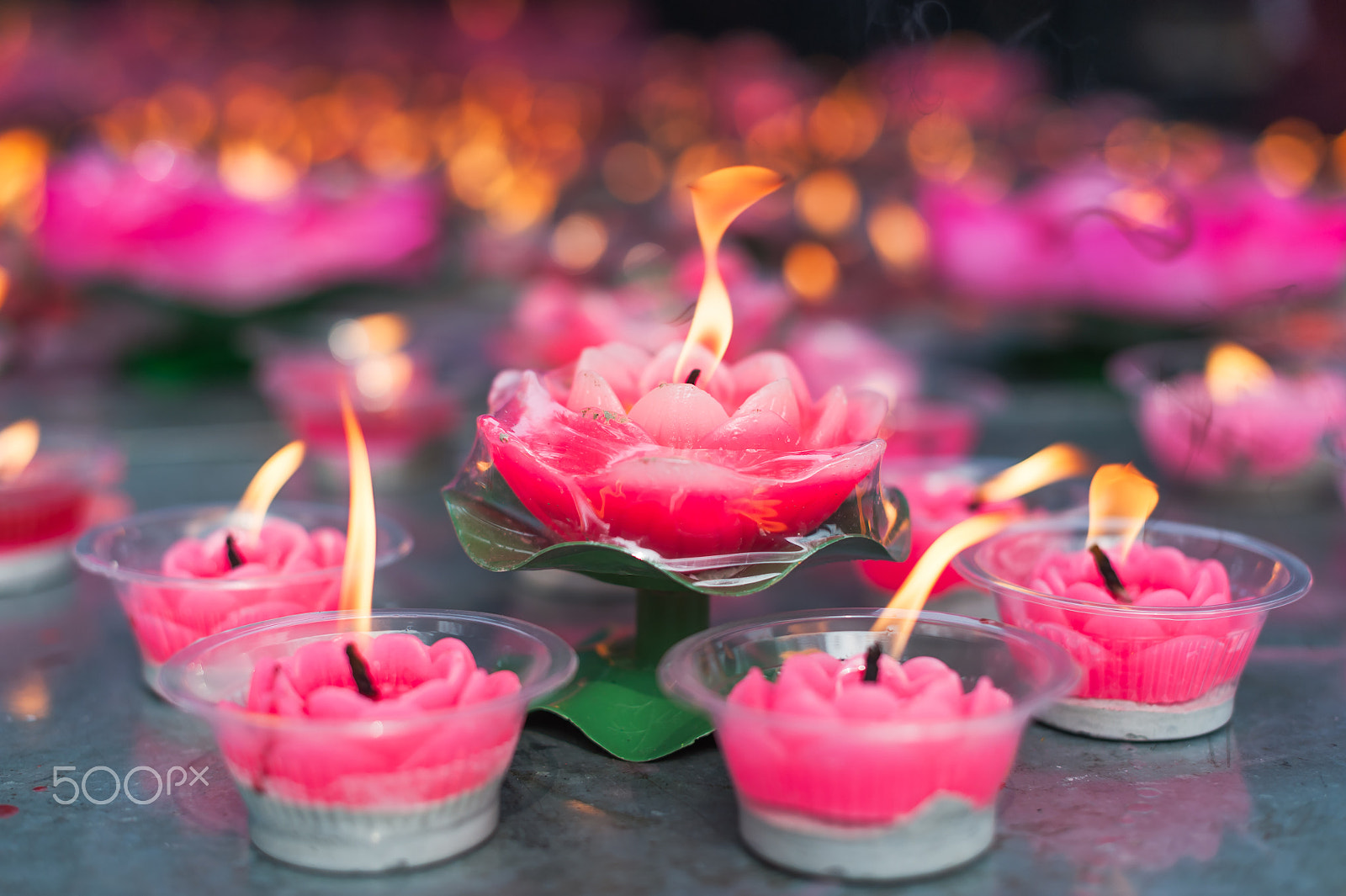 Nikon D700 sample photo. Lotus candles in a buddhist temple photography