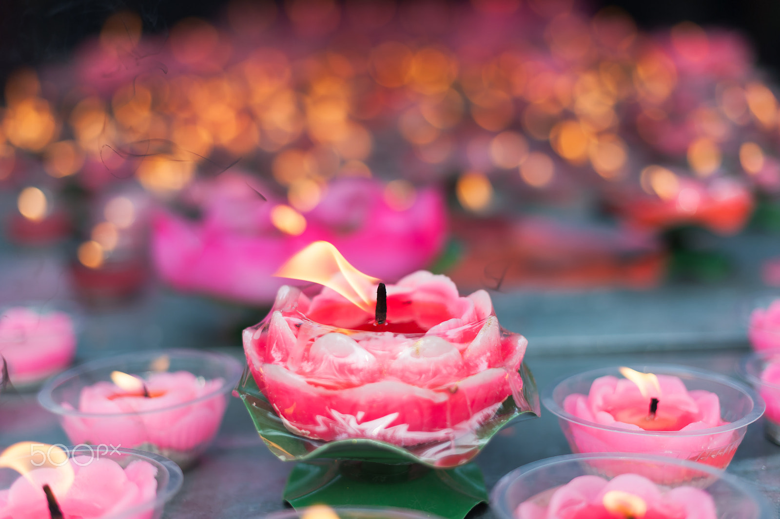 Nikon D700 sample photo. Lotus candles in a buddhist temple photography