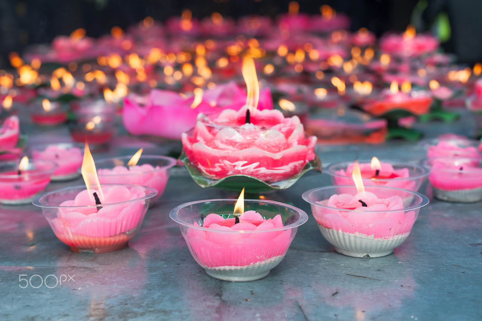 Nikon D700 + Nikon AF-S Nikkor 50mm F1.4G sample photo. Lotus candles in a buddhist temple photography