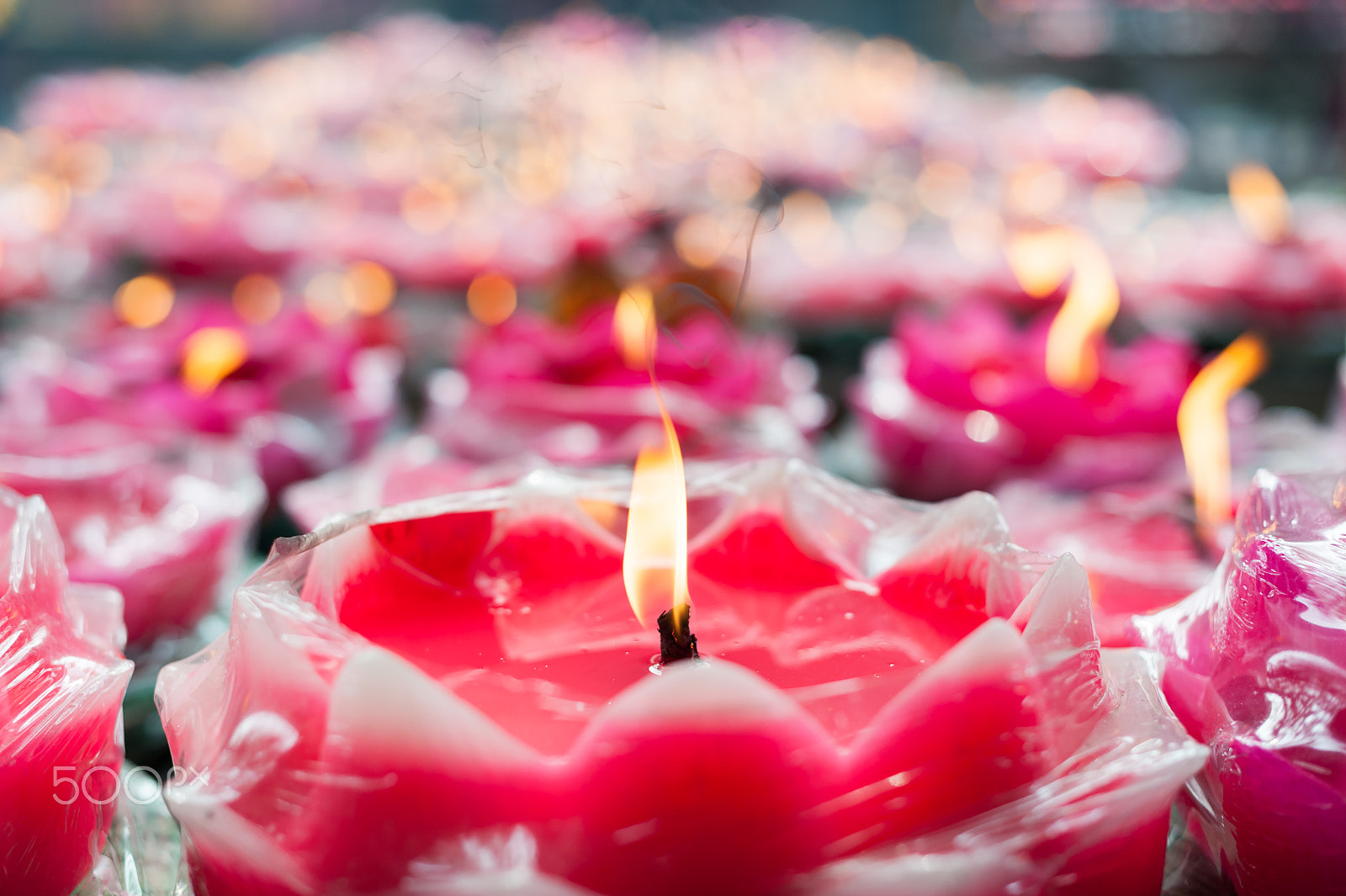 Nikon D700 sample photo. Lotus candles in a buddhist temple photography