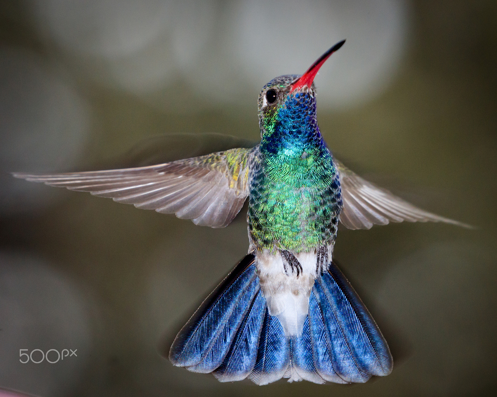 Canon EOS 5DS sample photo. A photography