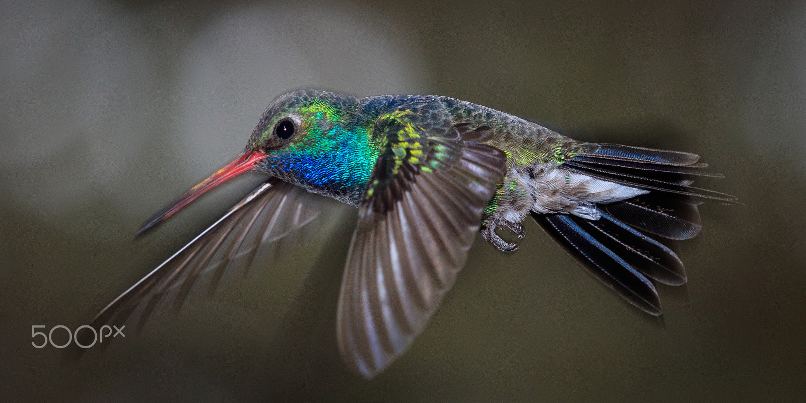 Canon EOS 5DS sample photo. A photography