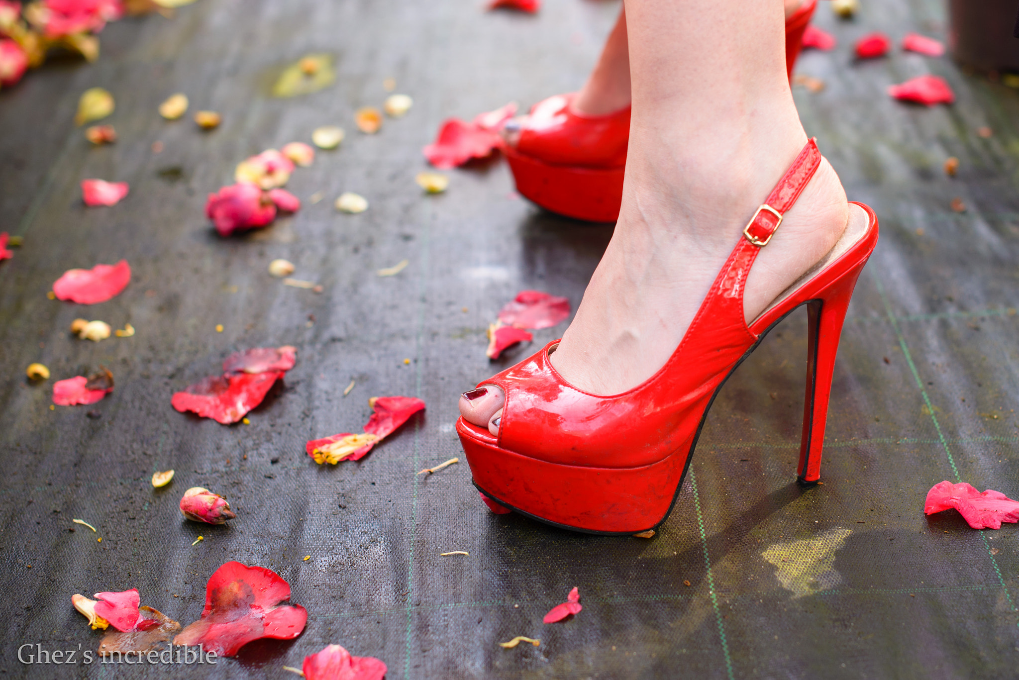 Nikon D600 + Nikon AF-S Nikkor 50mm F1.4G sample photo. Red shoe photography