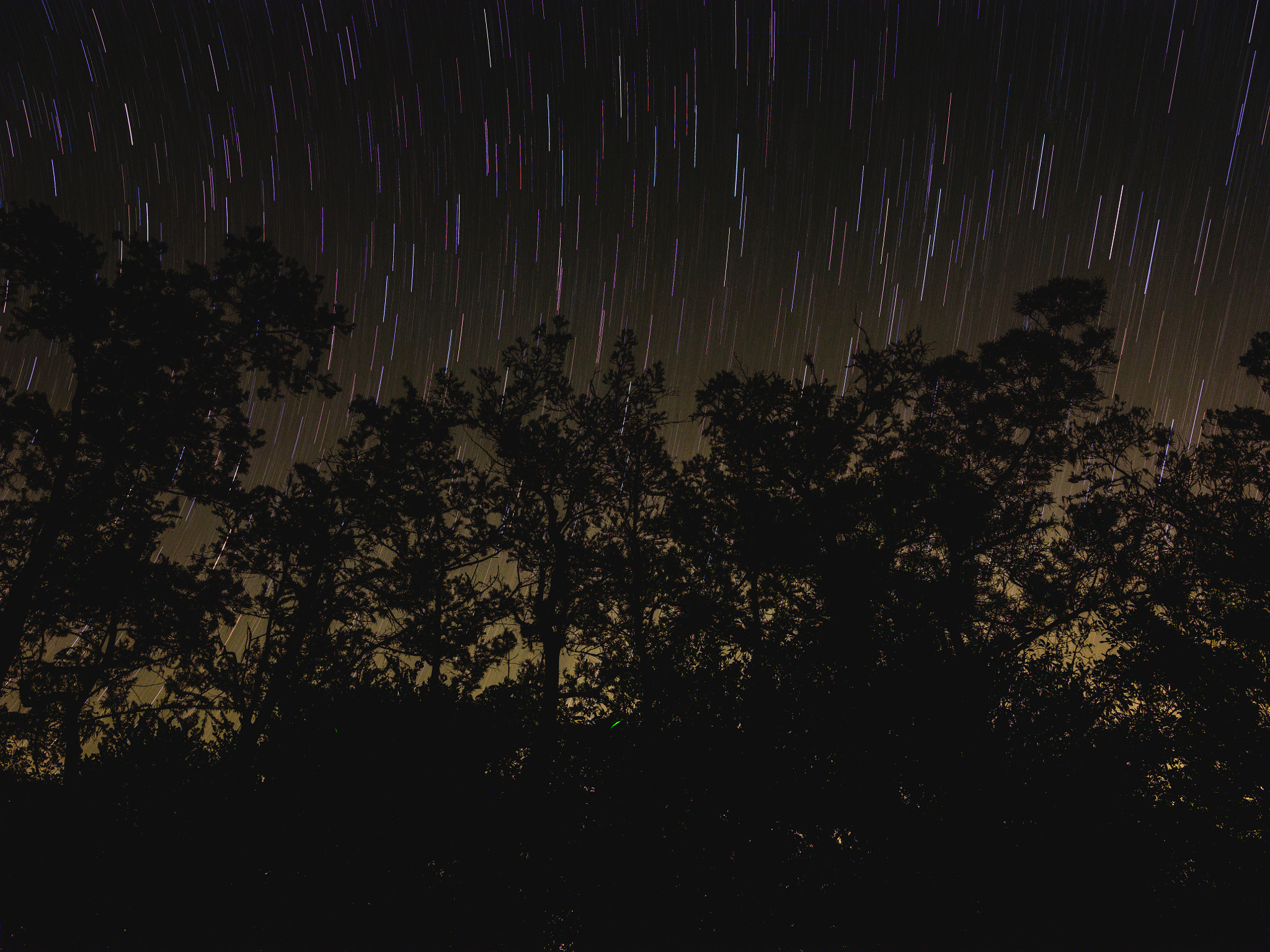 Fujifilm GF 32-64mm F4 R LM WR sample photo. Dsf photography
