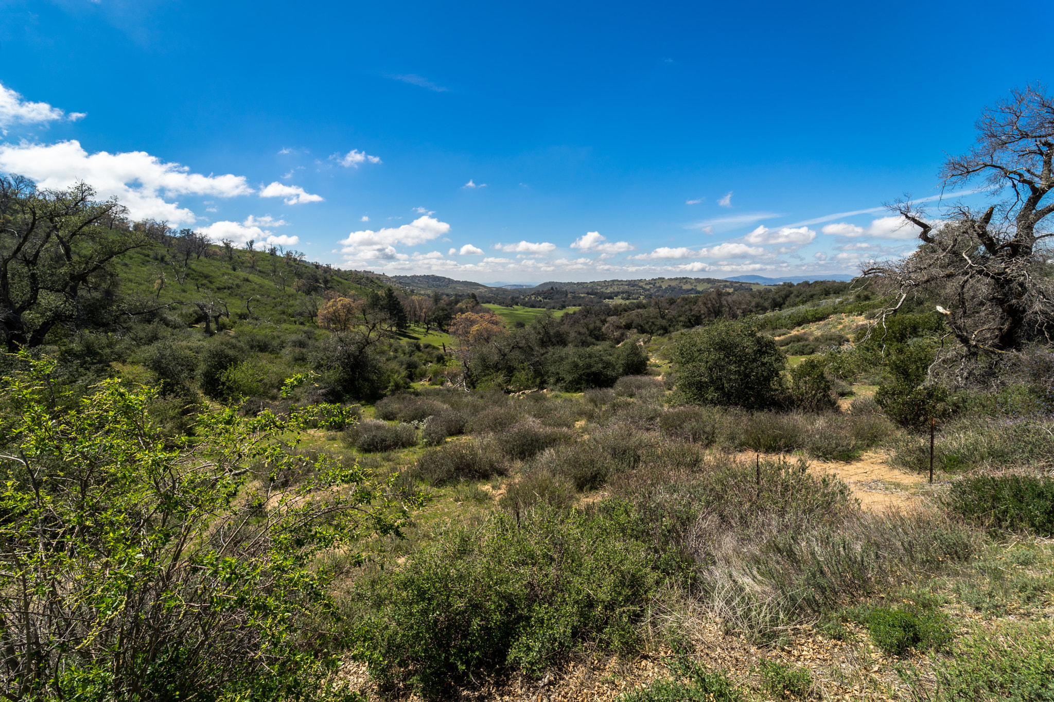 Sony a7 II sample photo. California land photography