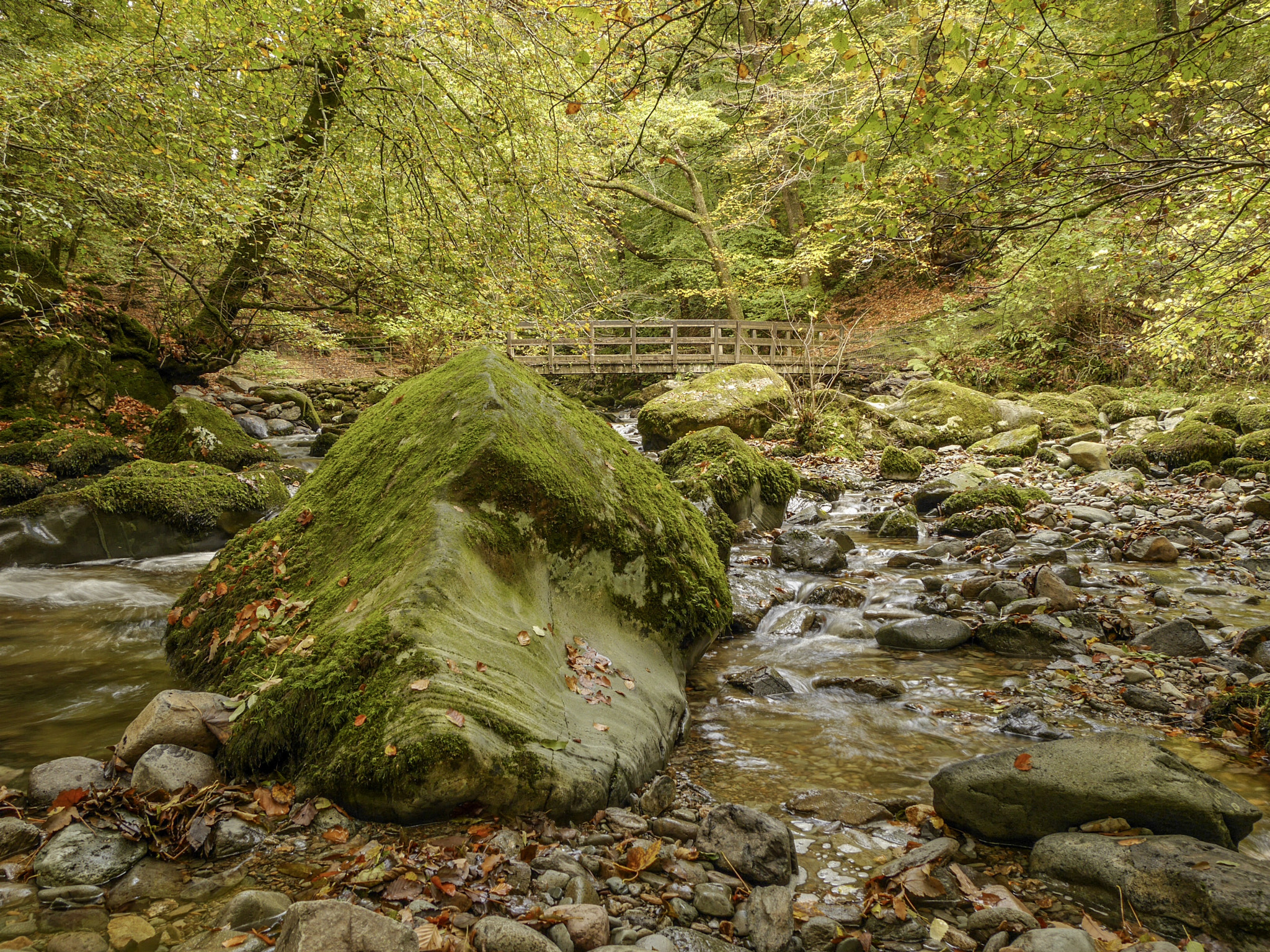 Panasonic Lumix DMC-G6 sample photo. Stock ghyll, ambleside photography
