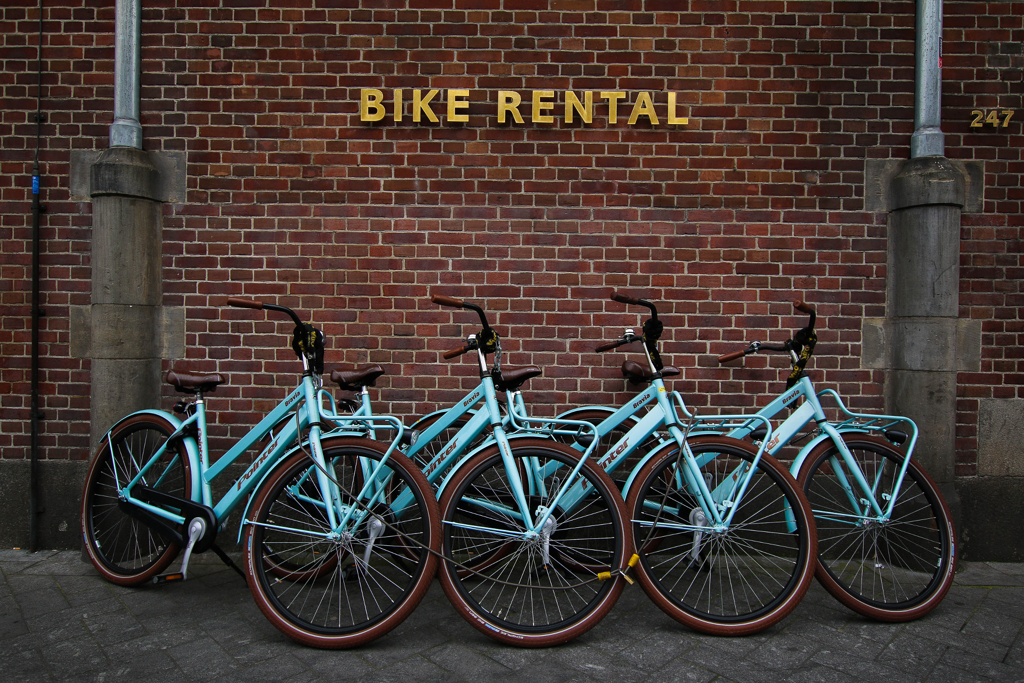 Sigma 10-20mm F3.5 EX DC HSM sample photo. Bike rental photography