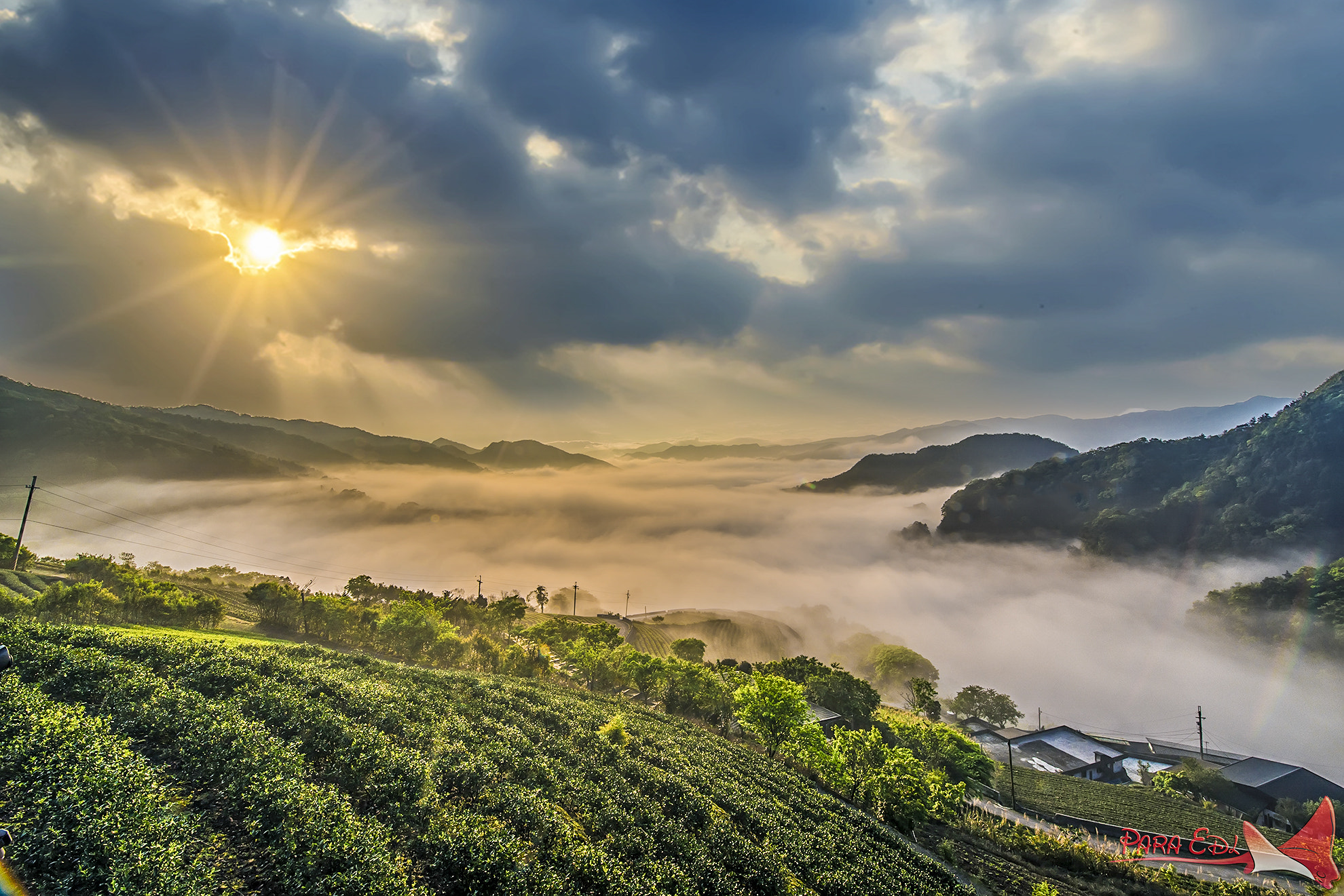 Nikon AF-S Nikkor 14-24mm F2.8G ED sample photo. Ping-lin photography