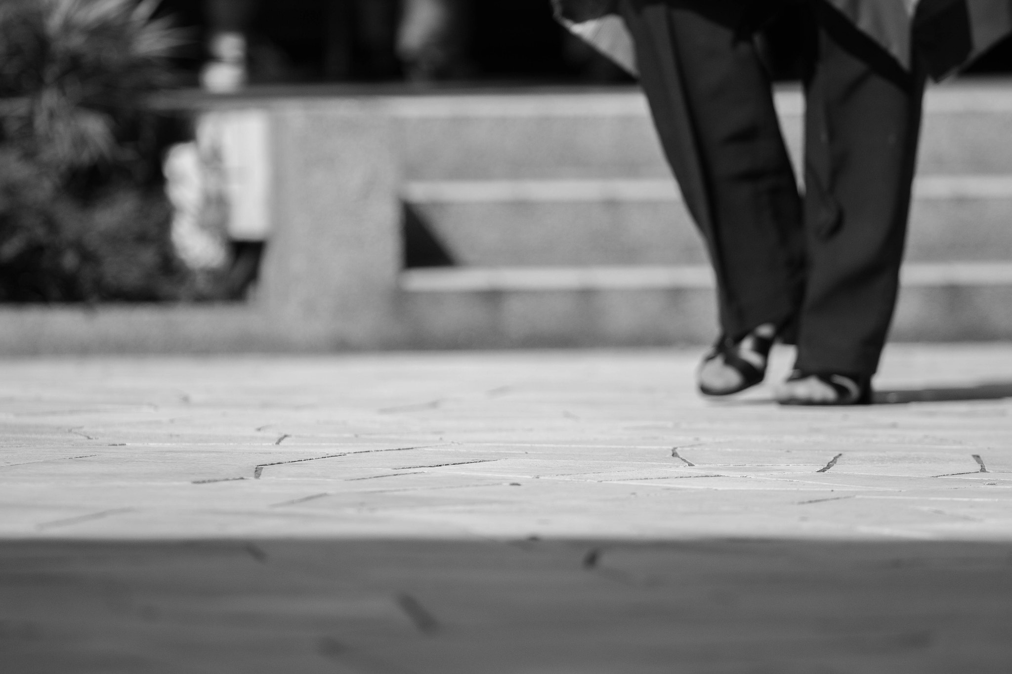 Canon EOS 70D + Canon EF 70-200mm F4L USM sample photo. Walking  photography