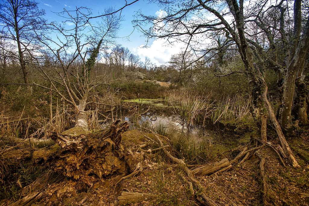 Canon EOS 6D + Canon EF 16-35mm F2.8L USM sample photo. Sasso pisano photography