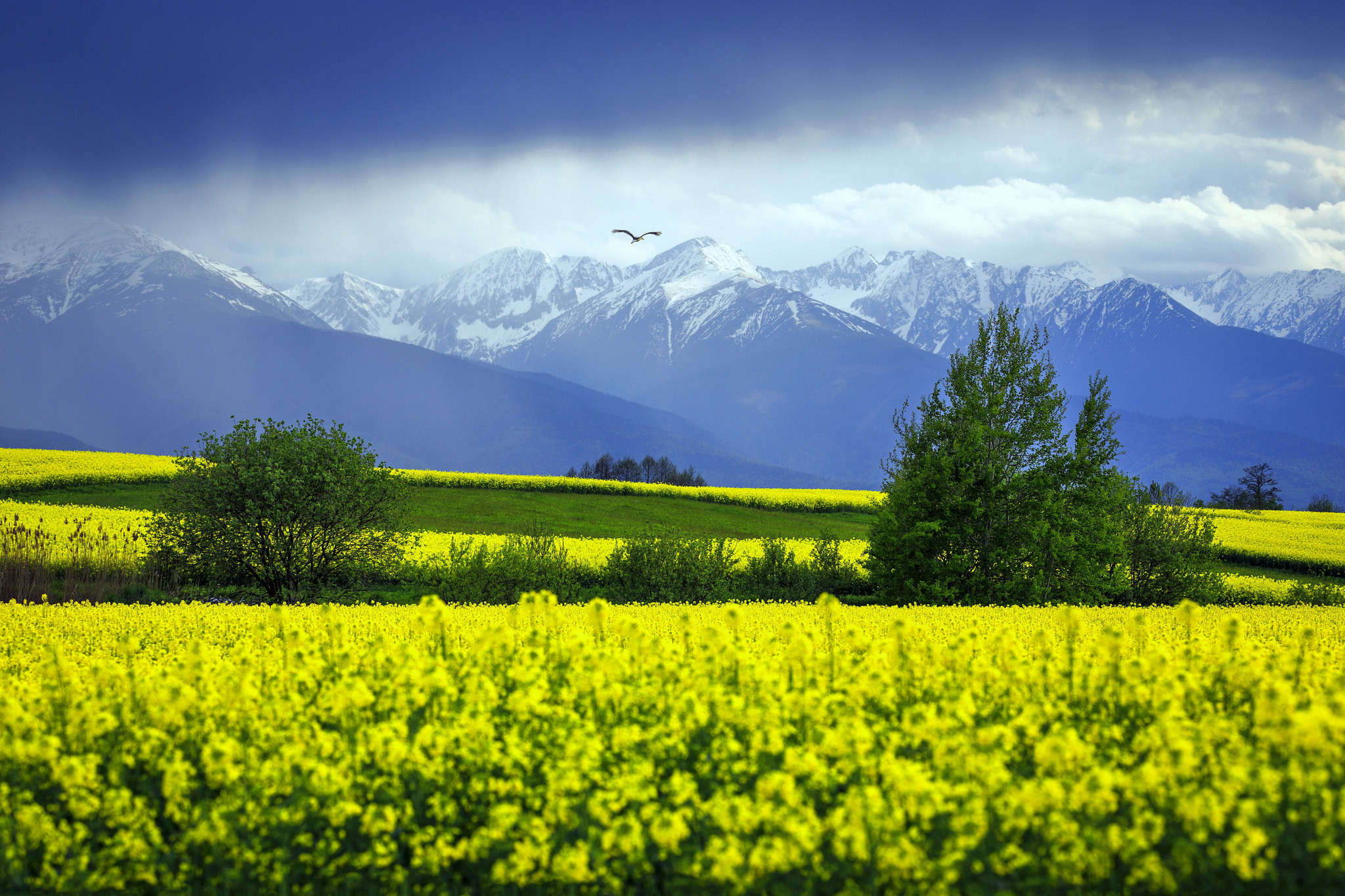 Canon EF 70-300mm F4-5.6L IS USM sample photo. Făgăraş mountains photography