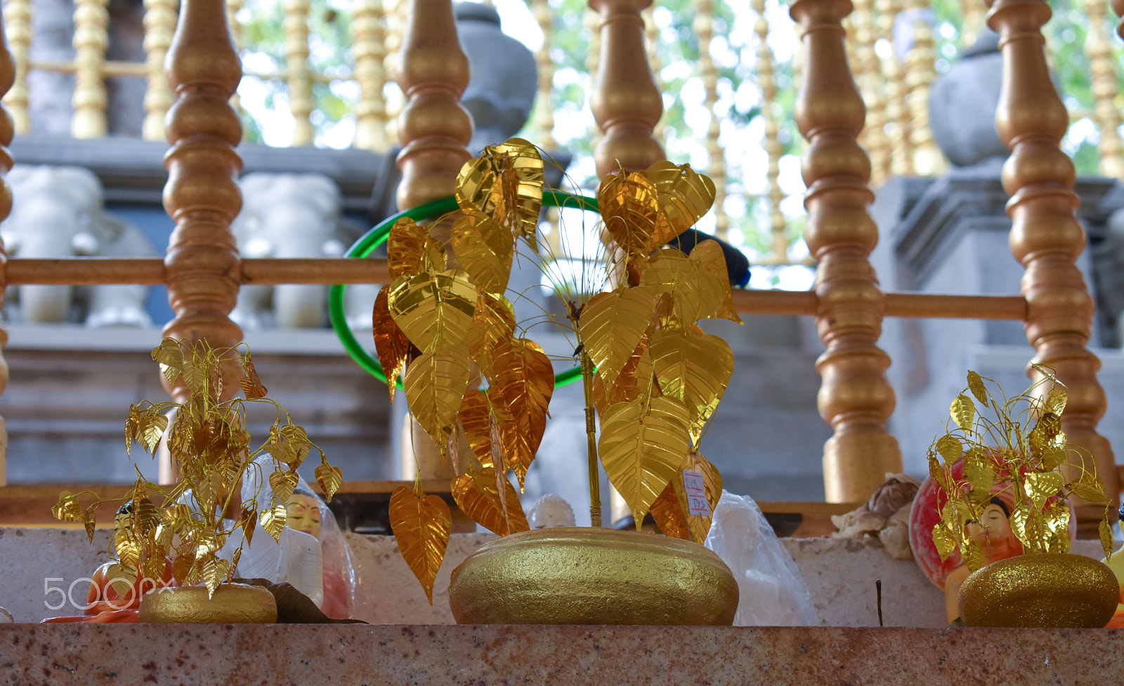 Nikon D3400 sample photo. Golden leaves photography