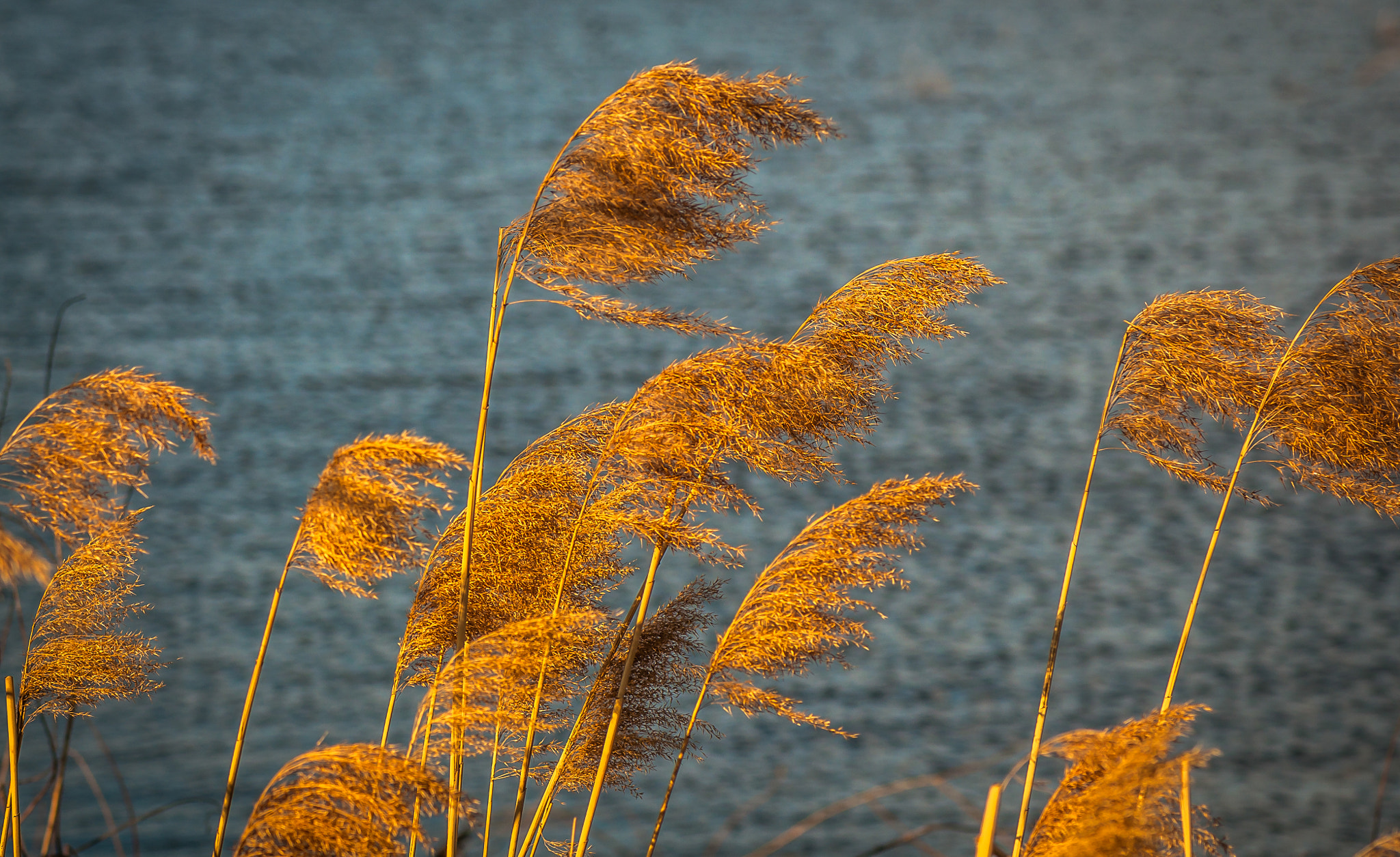 Nikon AF-S Micro-Nikkor 105mm F2.8G IF-ED VR sample photo. Those who see off. Ті, хто проводжає. photography