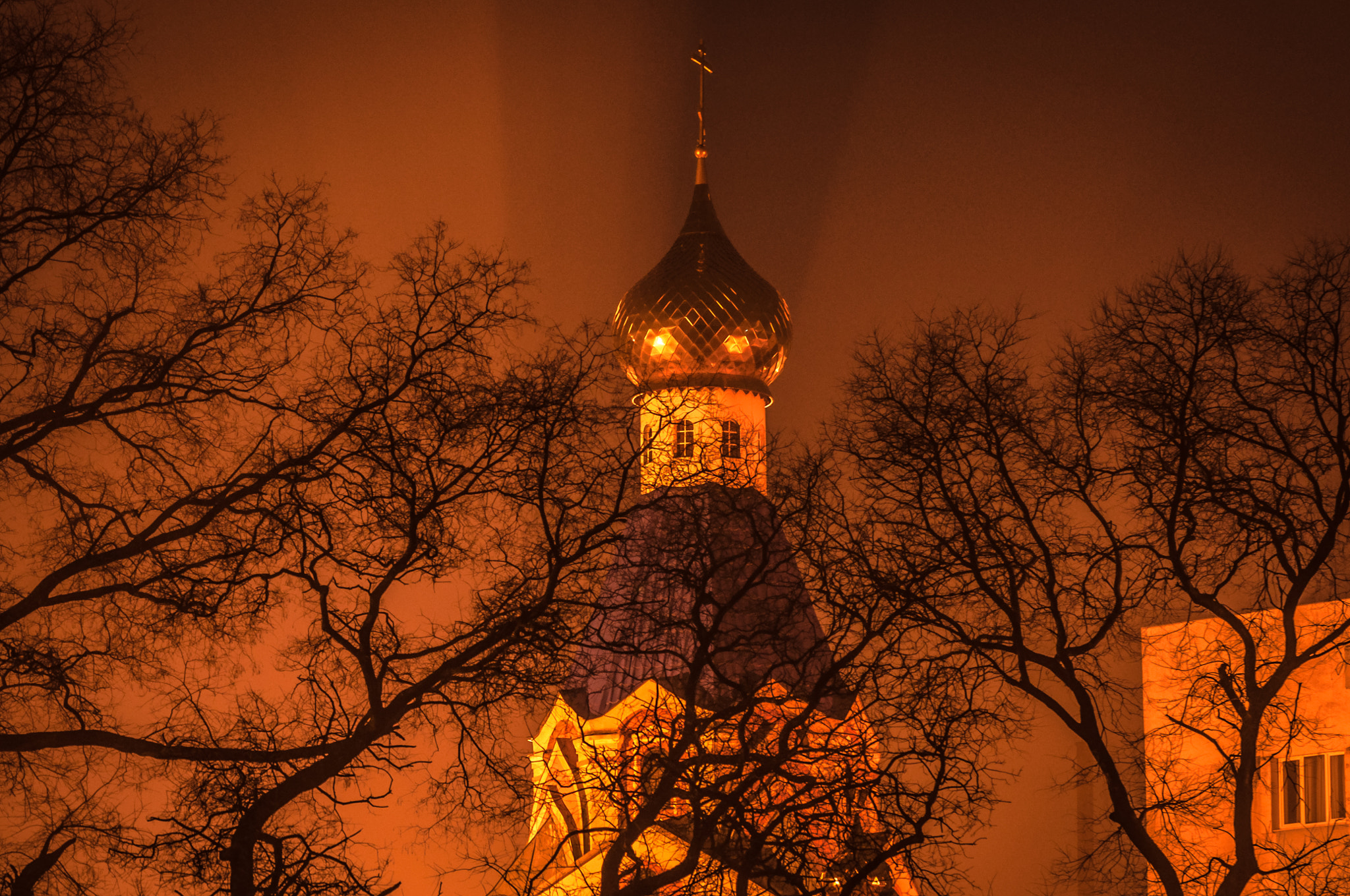 Nikon AF-S Micro-Nikkor 105mm F2.8G IF-ED VR sample photo. Under the cover of fog. Під покровом туману. photography