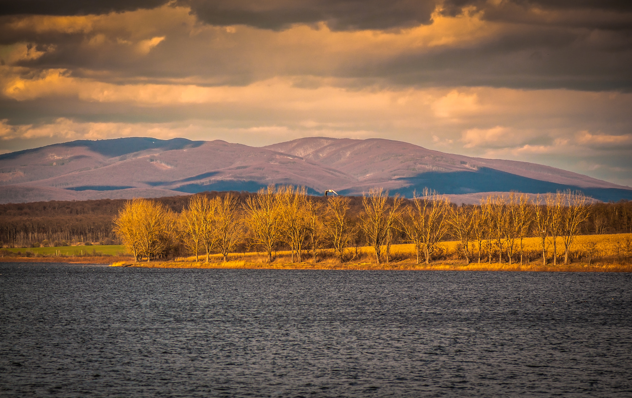 Nikon AF-S Micro-Nikkor 105mm F2.8G IF-ED VR sample photo. The land of ukraine. Земля України. photography