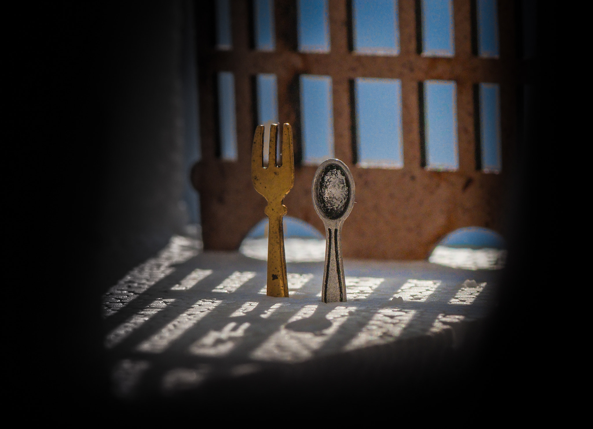 Nikon AF-S Micro-Nikkor 105mm F2.8G IF-ED VR sample photo. Violators diet. Порушники дієти. photography