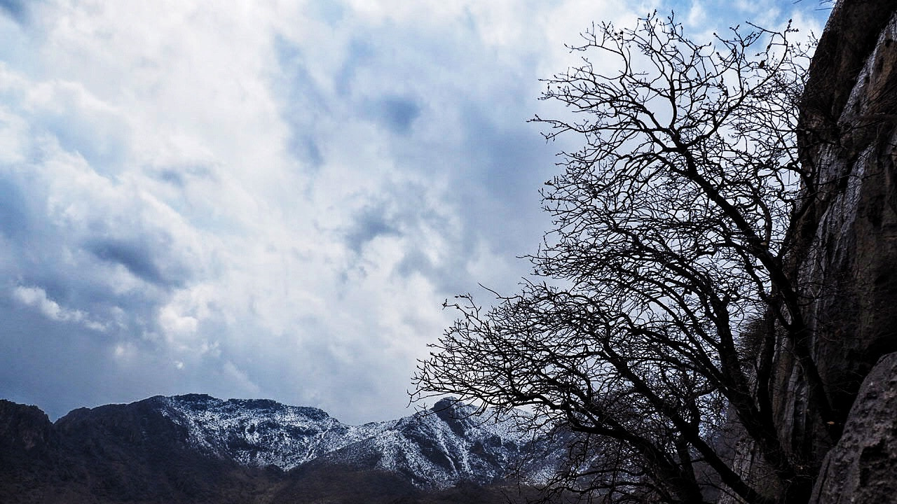 Olympus OM-D E-M1 sample photo. Reach out photography