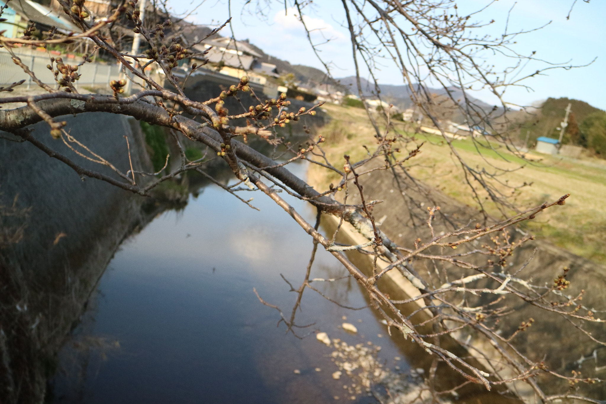 Canon EOS M3 sample photo