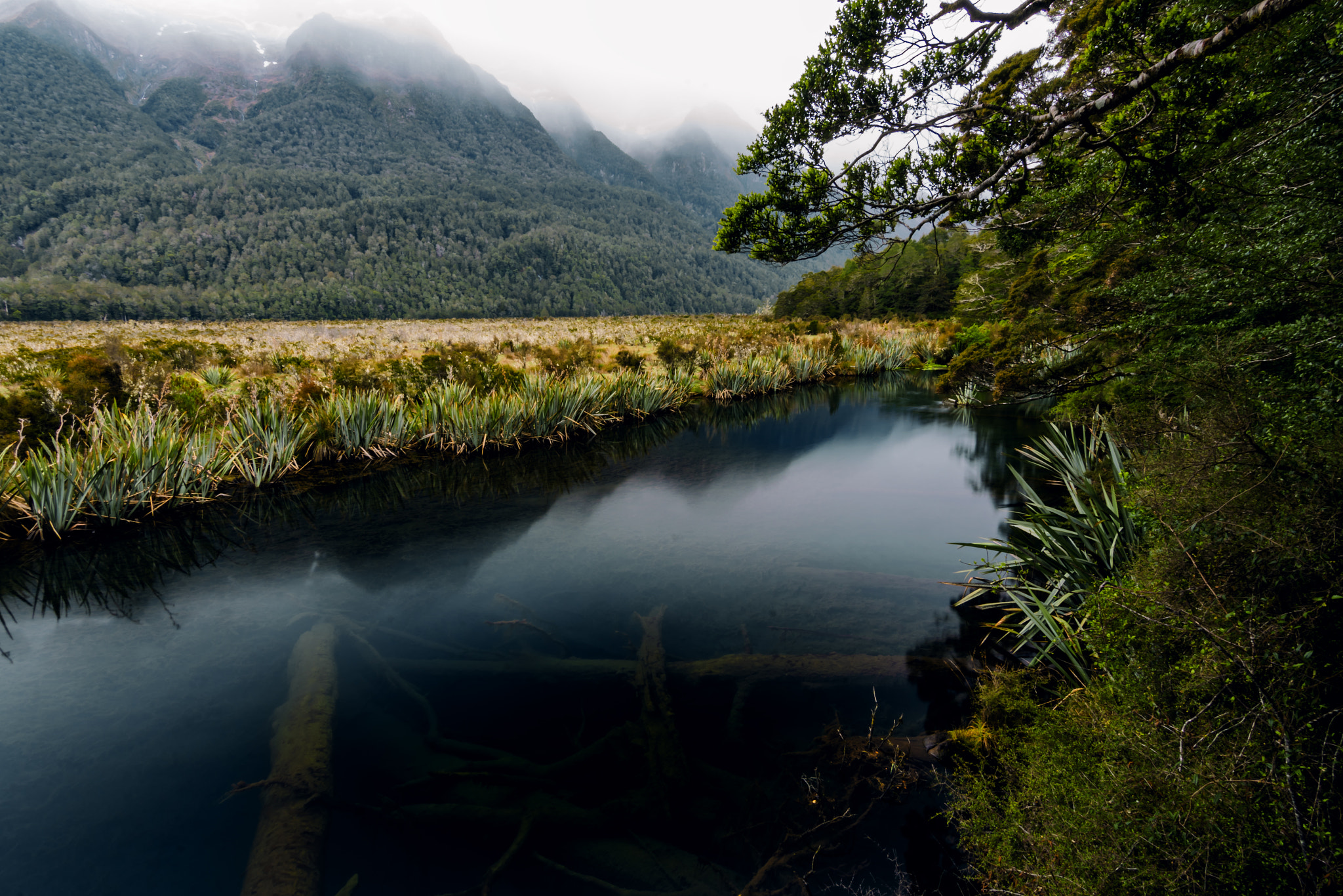 Sony a7R II + DT 0mm F0 SAM sample photo. View through "mirror lake" photography