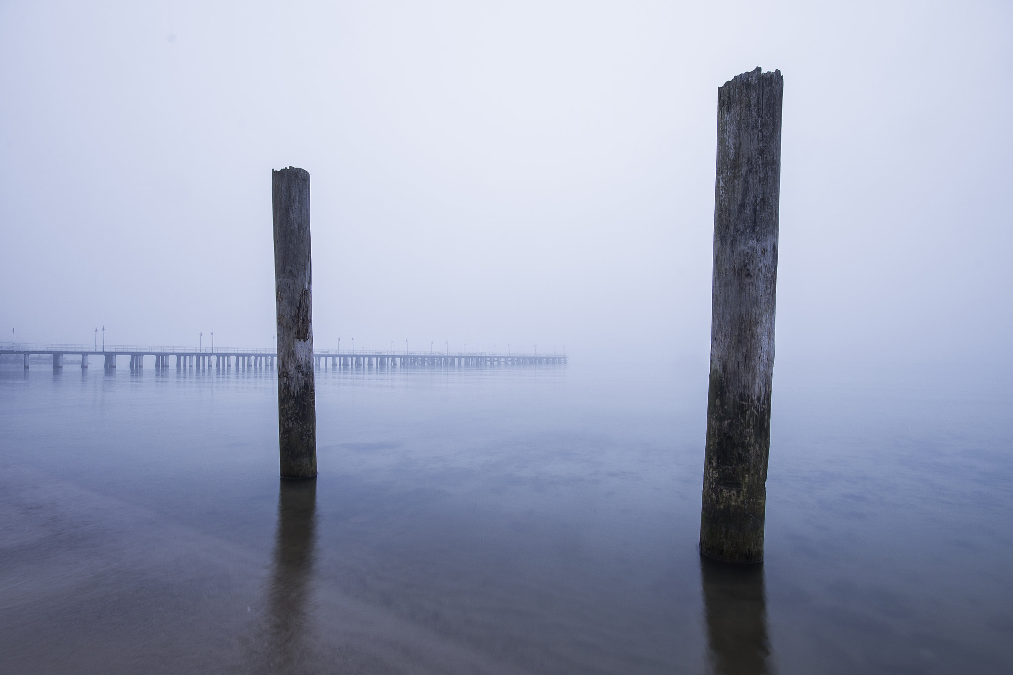 Nikon D610 sample photo. Fog photography