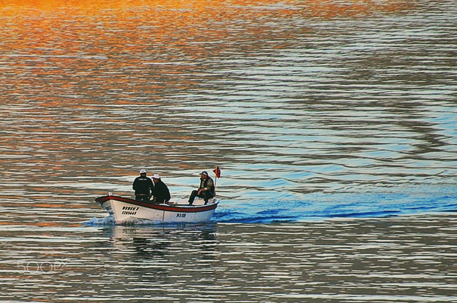 Nikon D5000 sample photo. ** photography