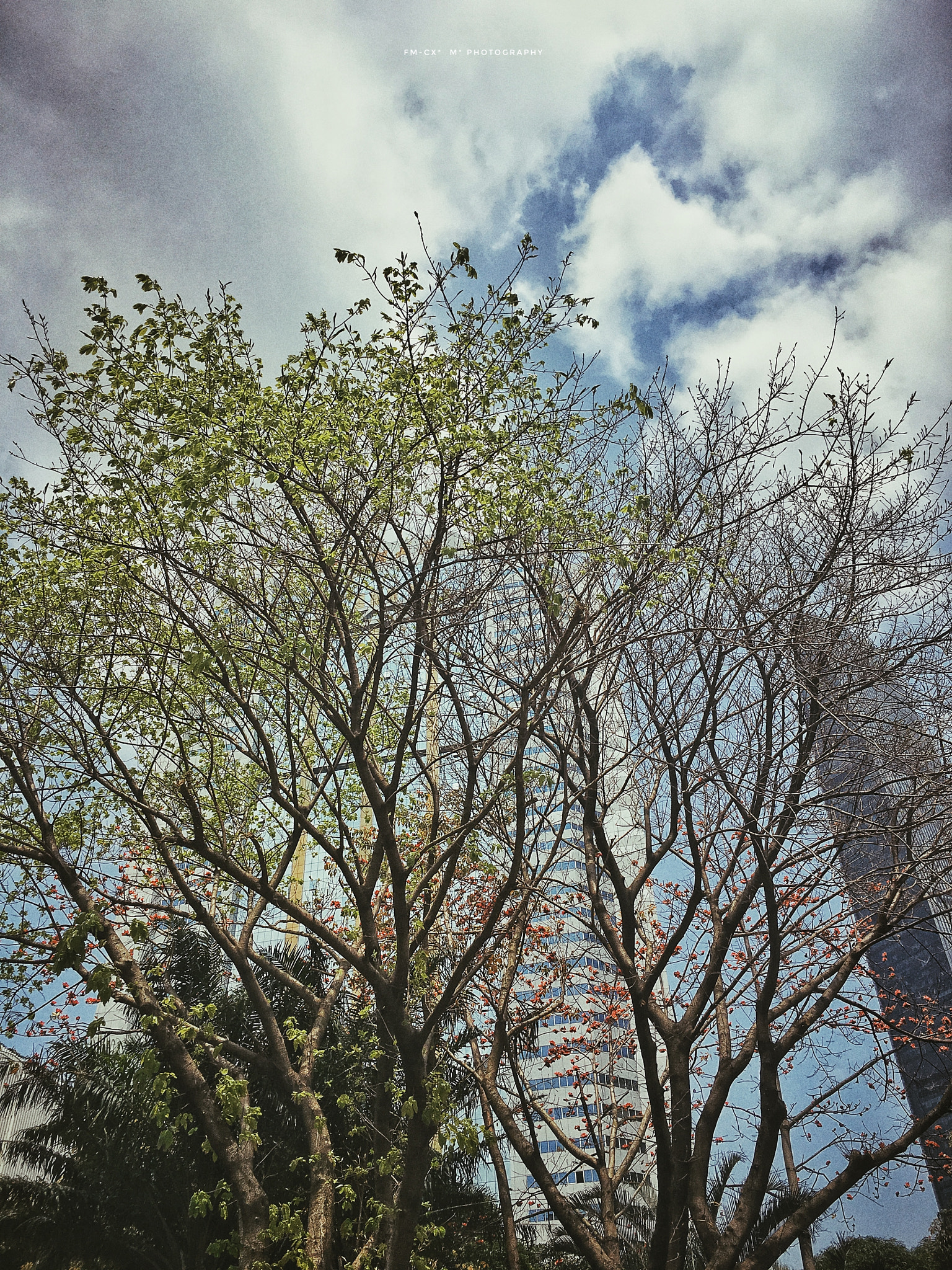 Apple iPhone8,2 sample photo. # photography