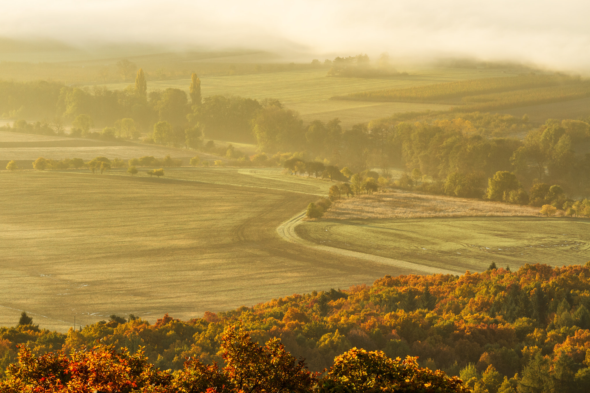 Canon EOS 7D + Canon EF 70-200mm F4L IS USM sample photo. Autumn morning photography