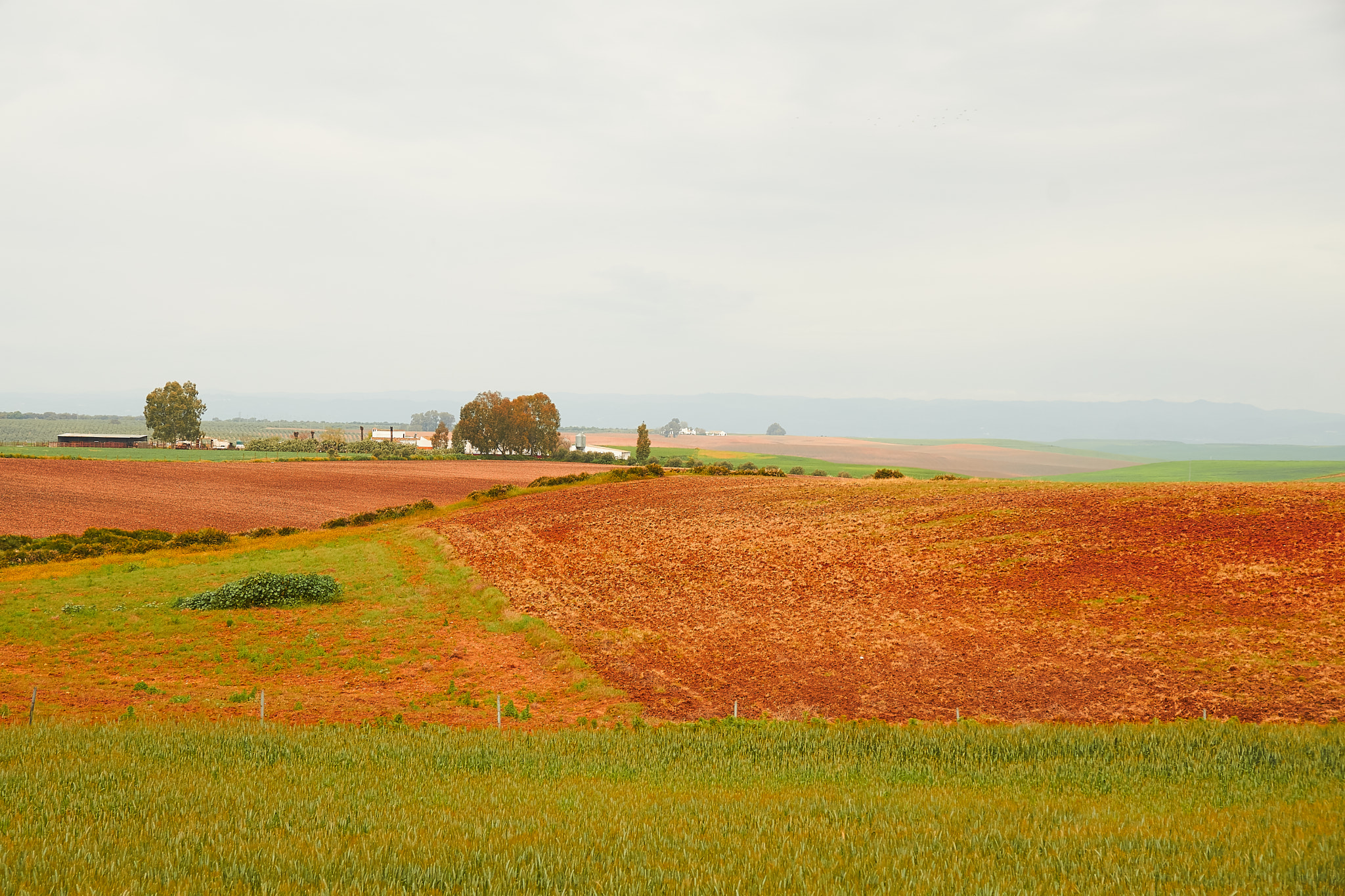 Sony DT 16-105mm F3.5-5.6 sample photo. Wrought land photography